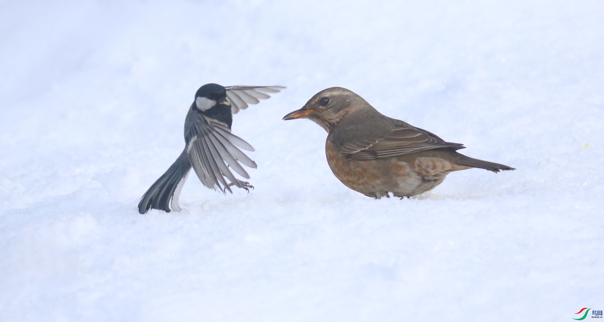 0G1A7273 ����.jpg