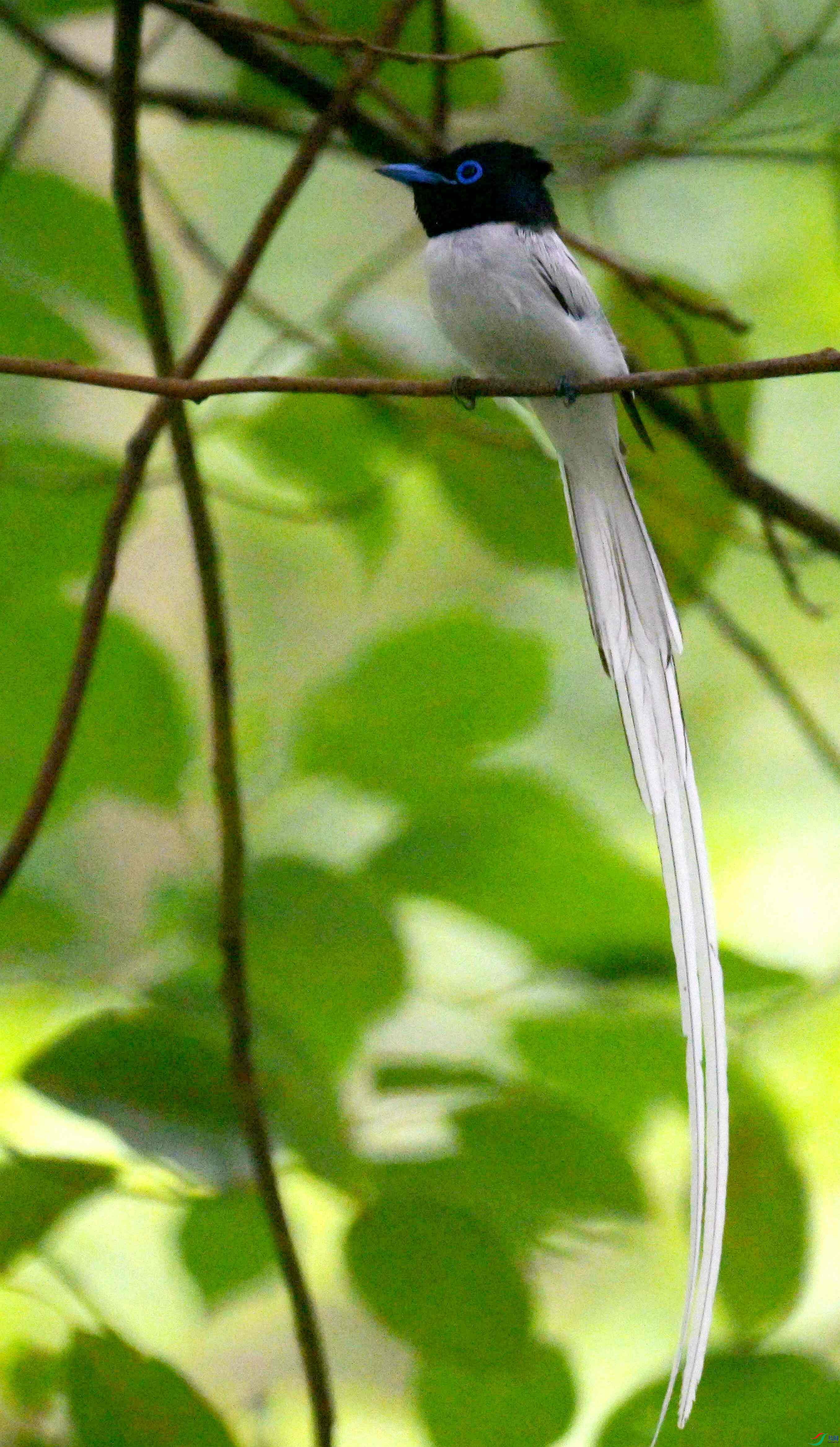 DSC_9542.jpg