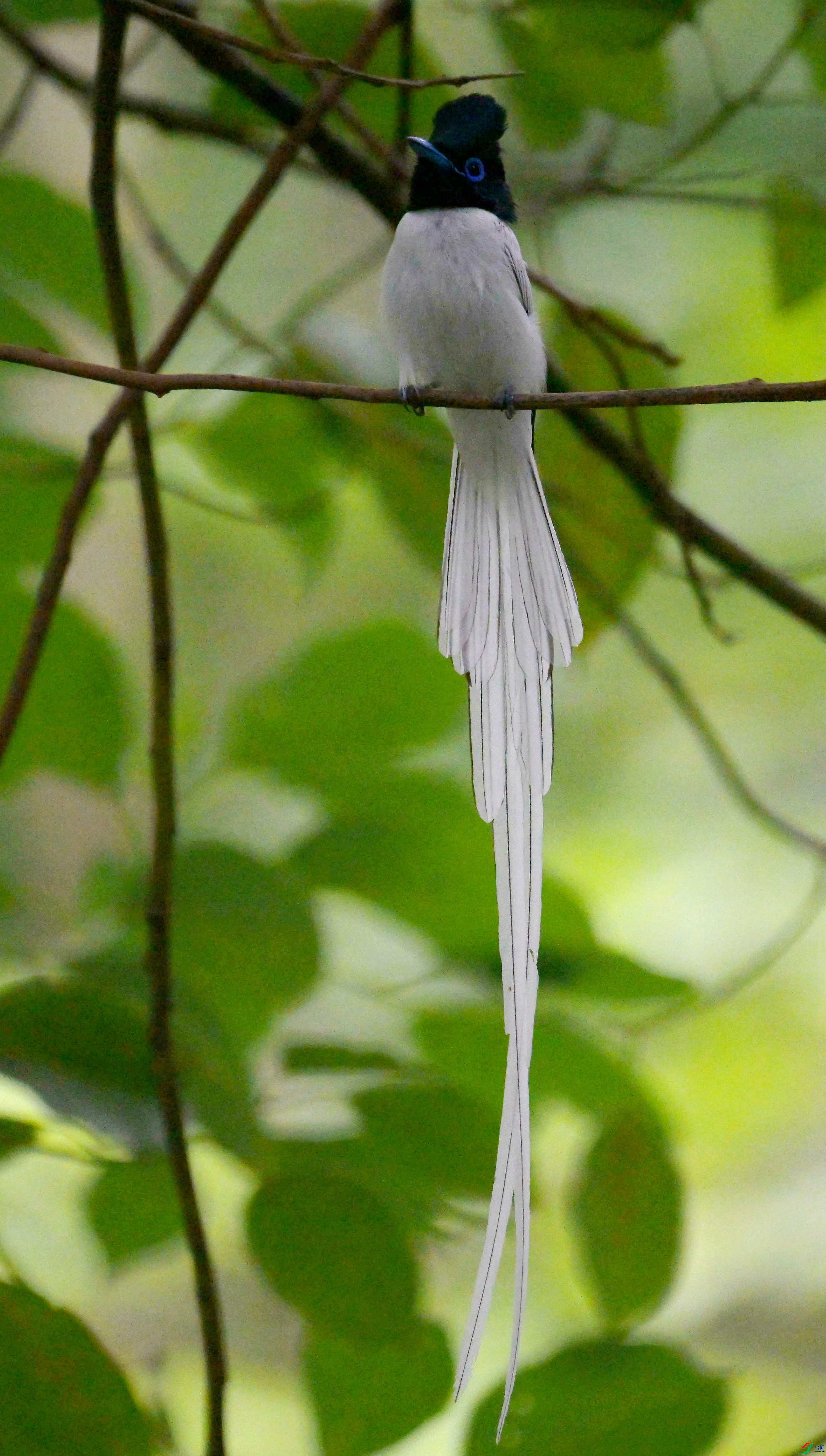 DSC_9510.jpg