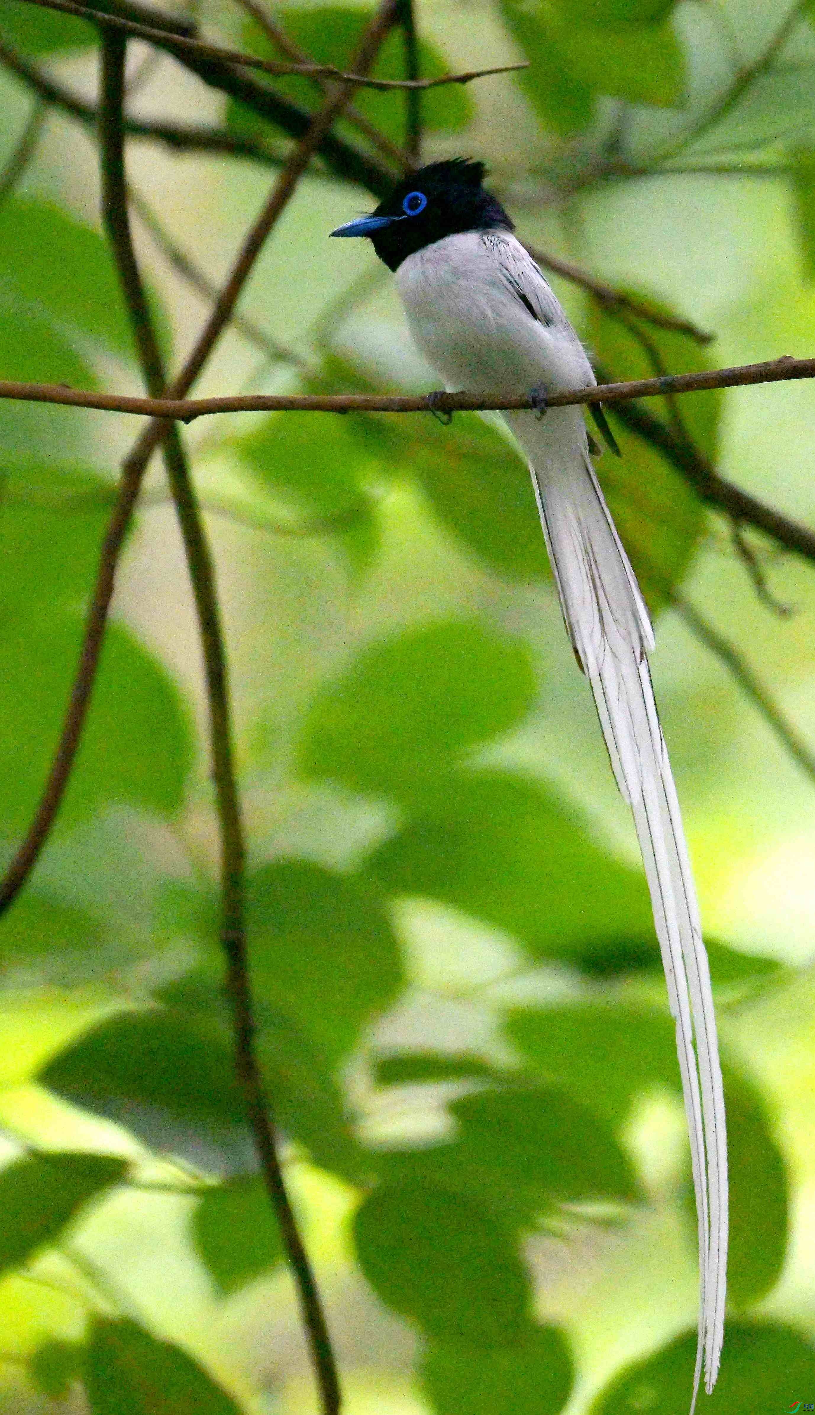 DSC_9533.jpg