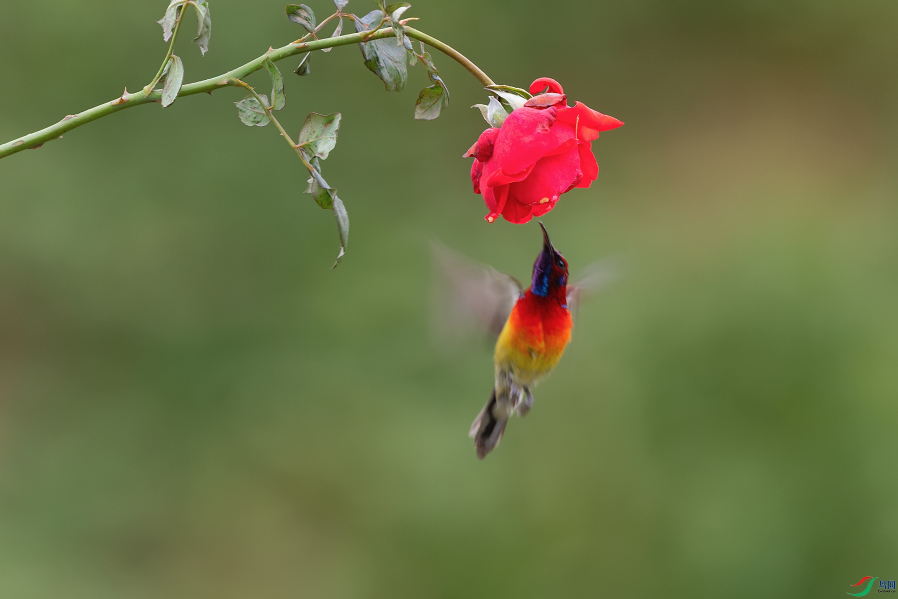 DSC_7214_DxOa.jpg