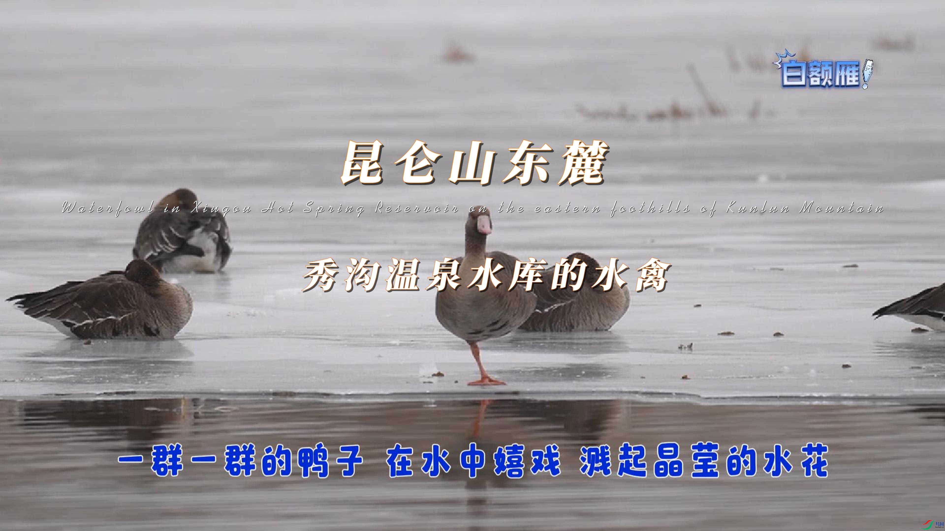 ����ɽ��´ �㹵��Ȫˮ���ˮ��-����.jpg