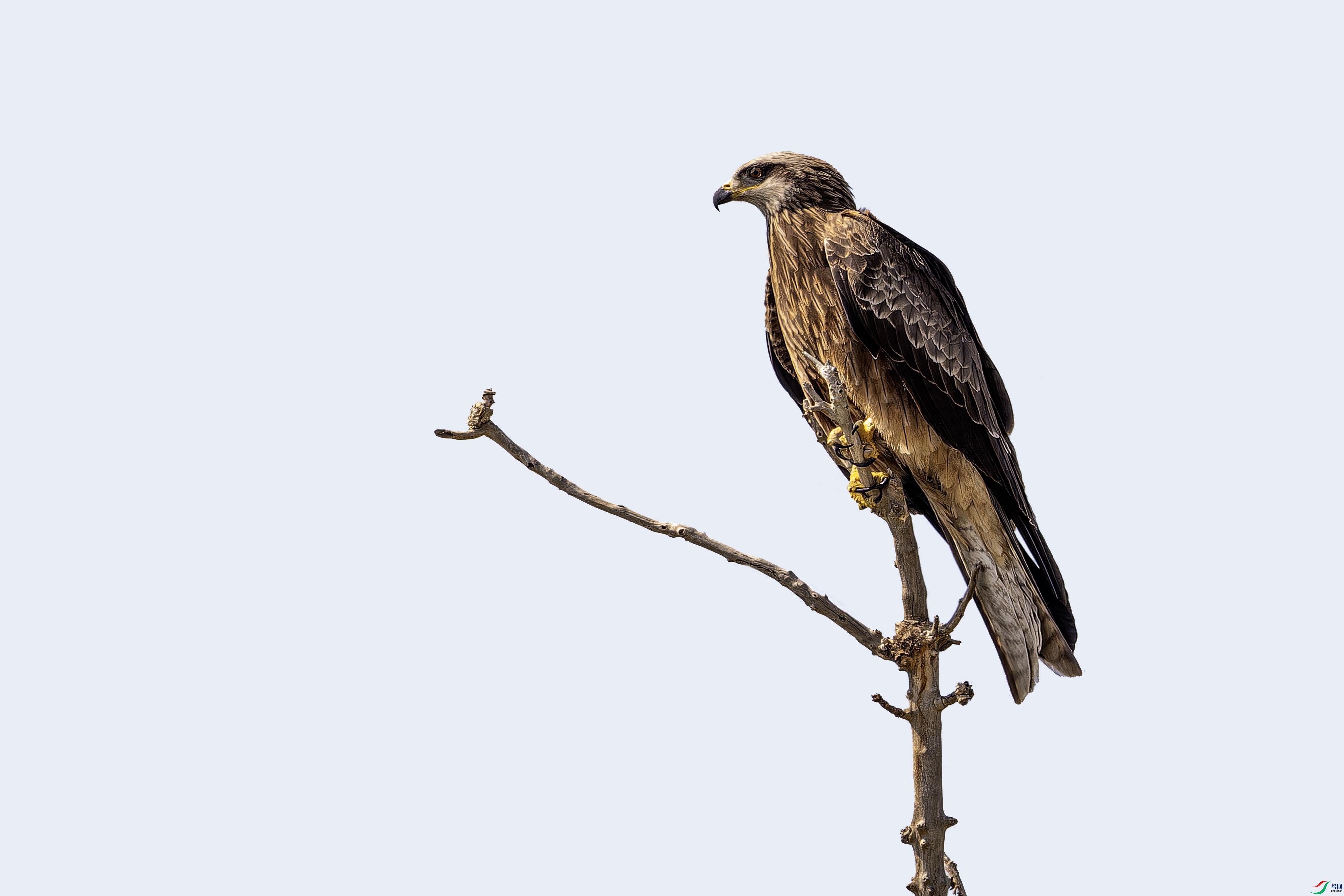 ��� (3)-01.jpg