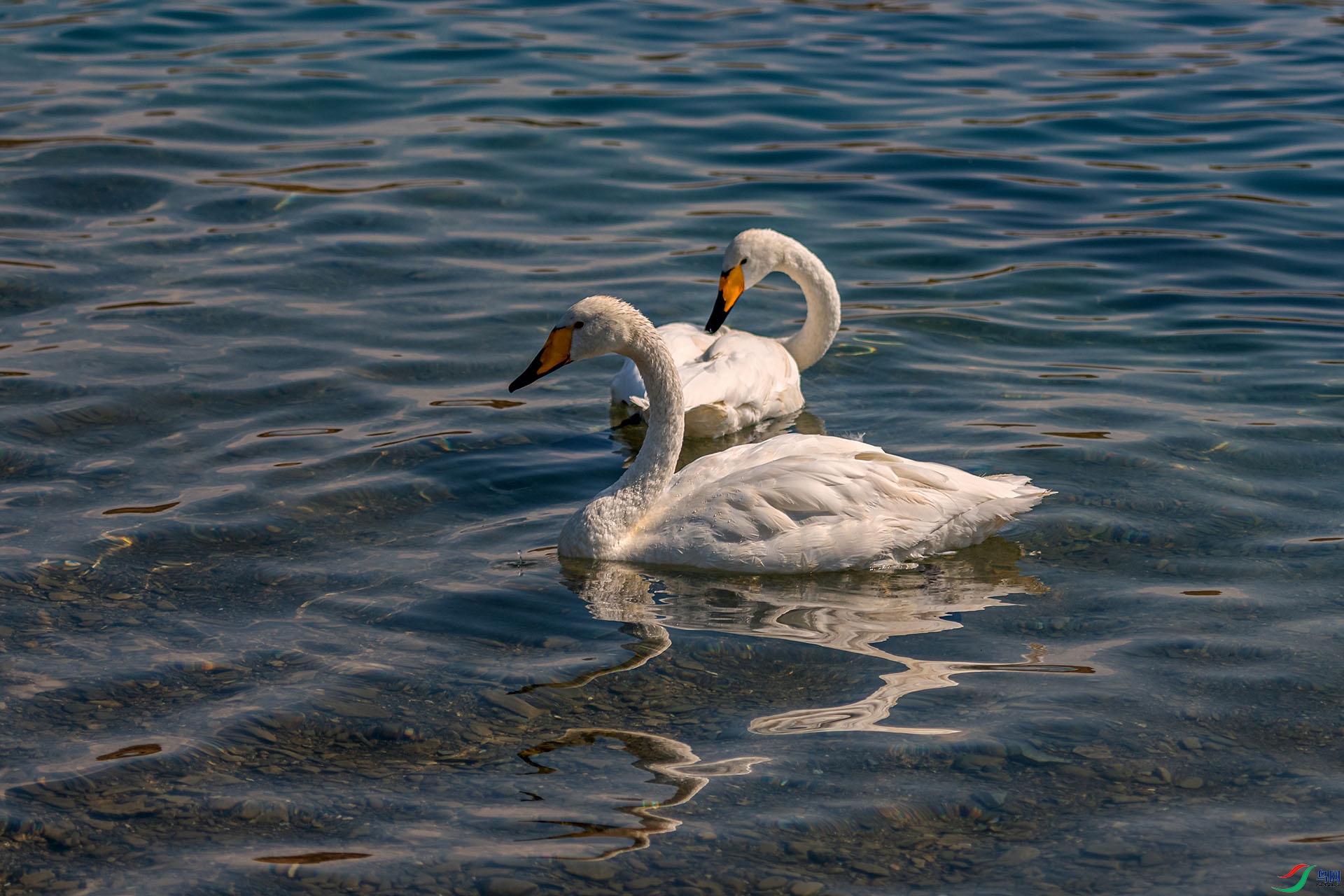 _AUU0576�����(24.9.21).jpg