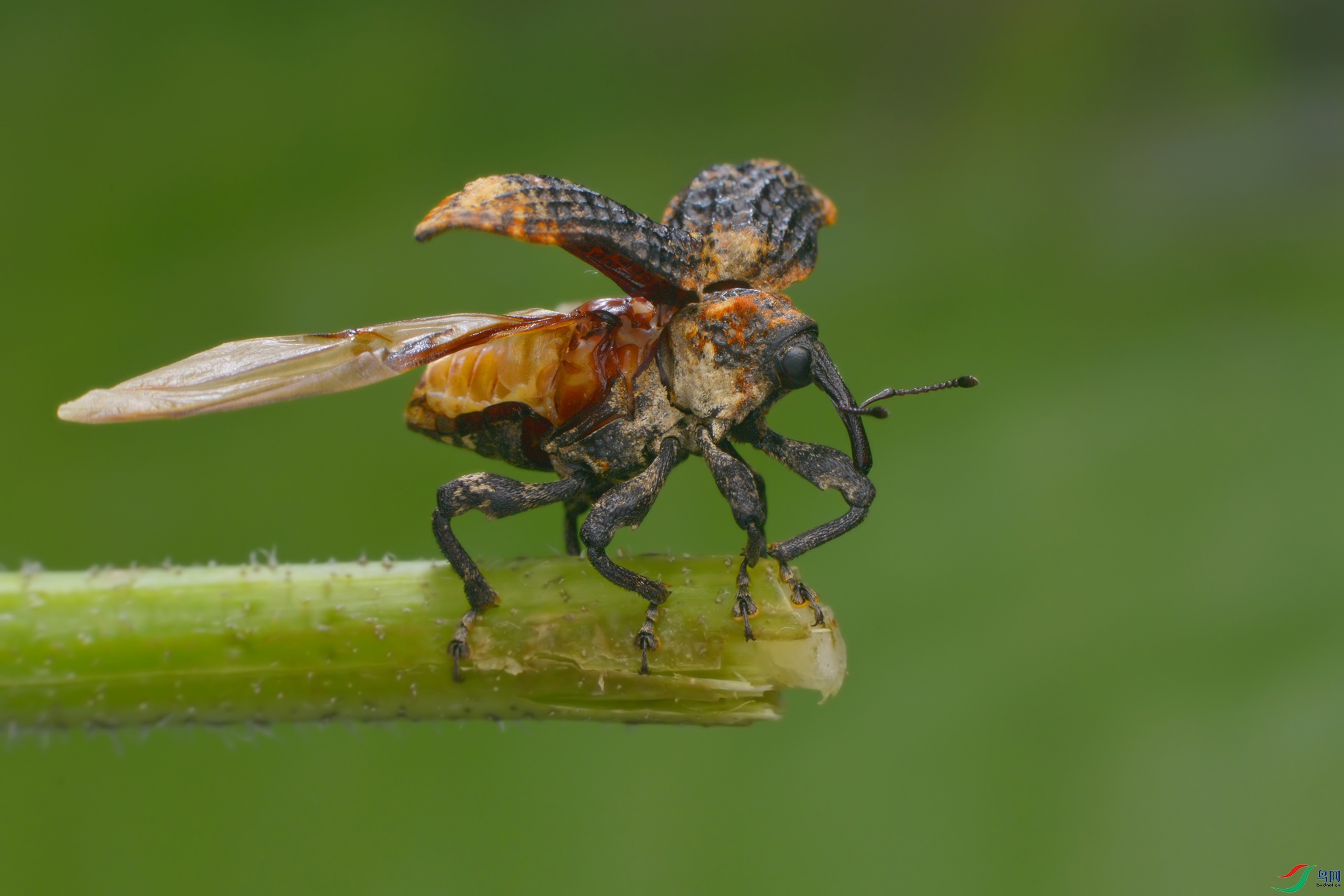 DSC_5360 ����.jpg