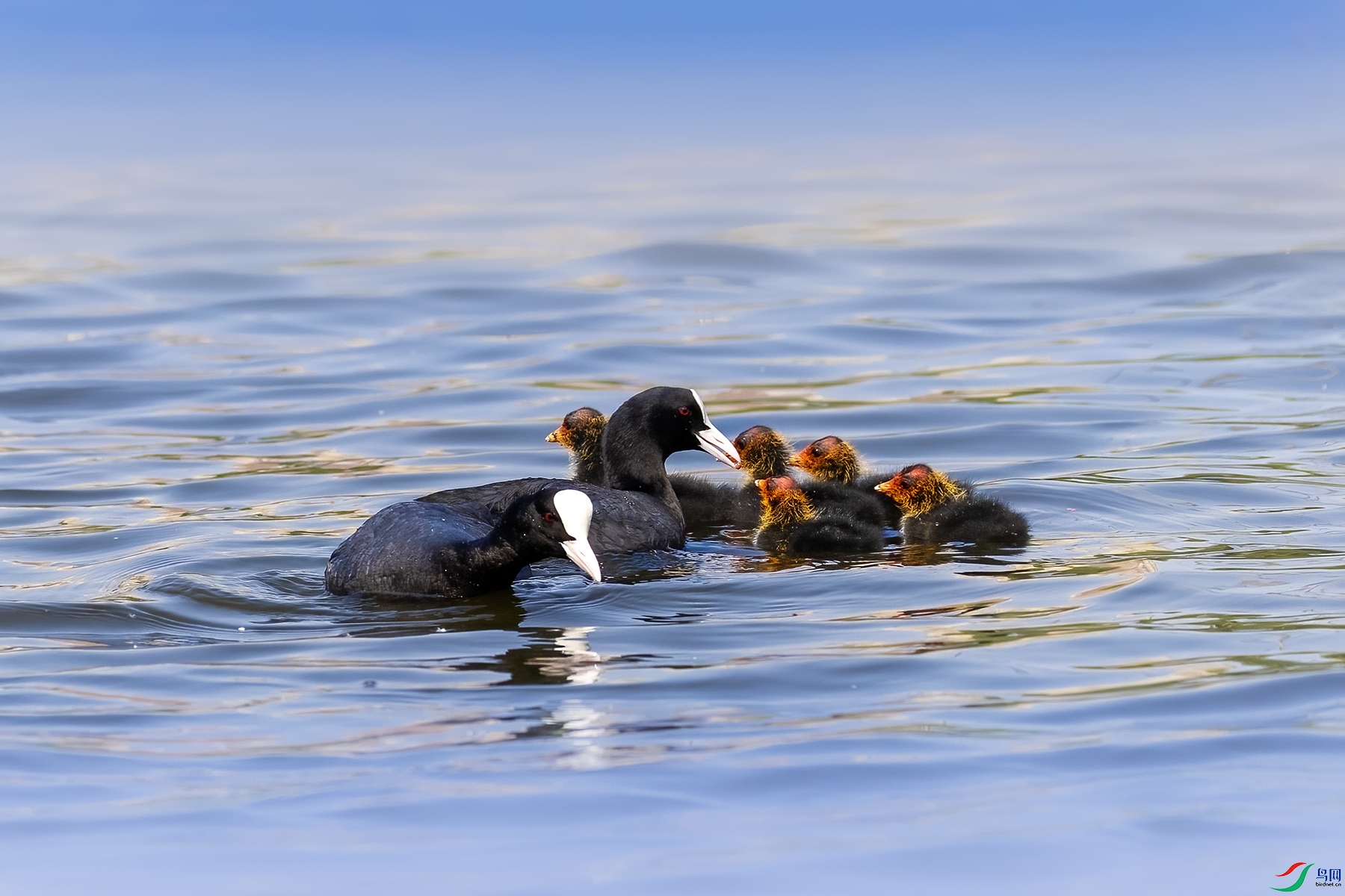 488A3570 ����.jpg