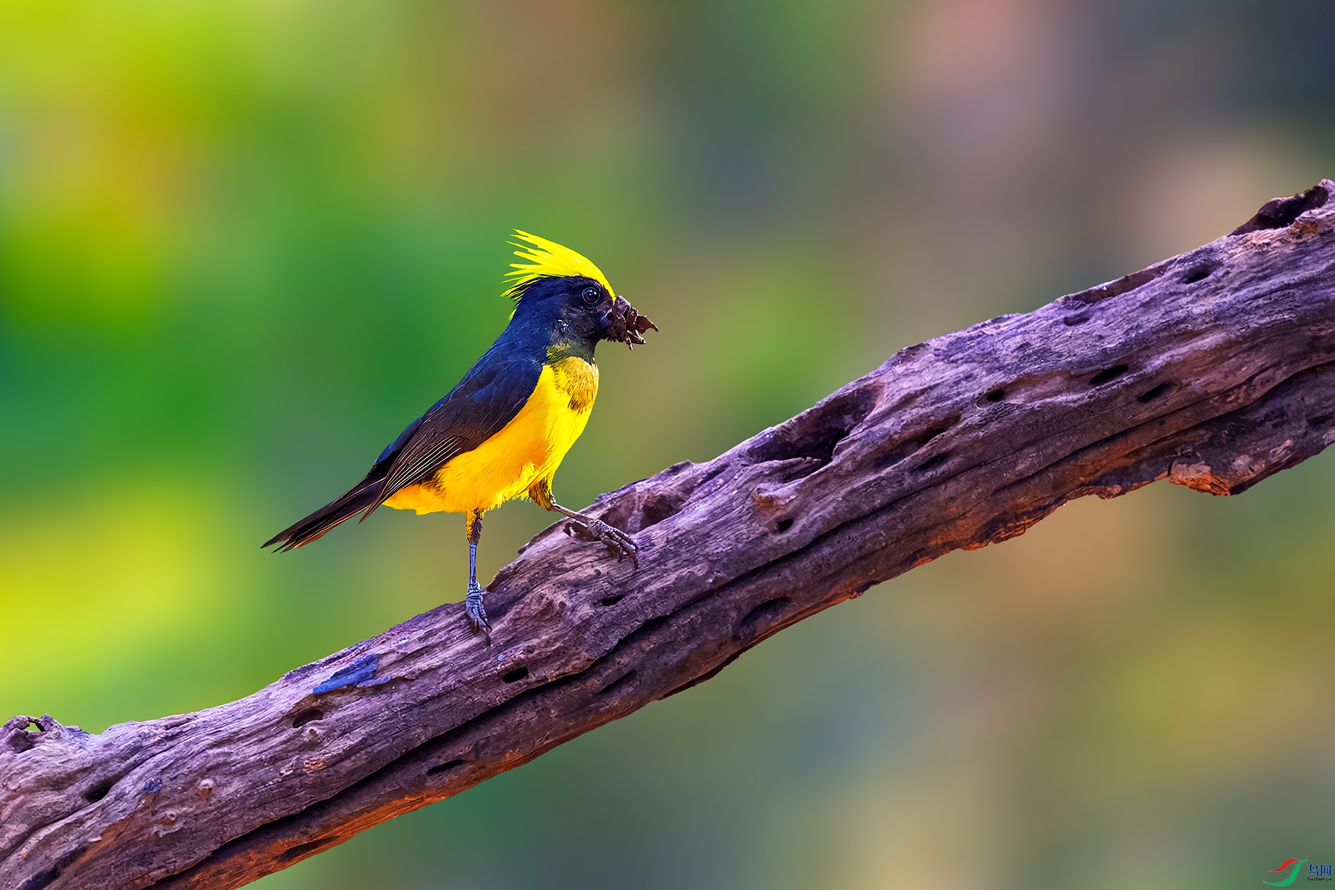 0_DSC6583-topaz-rawdenoise.jpg
