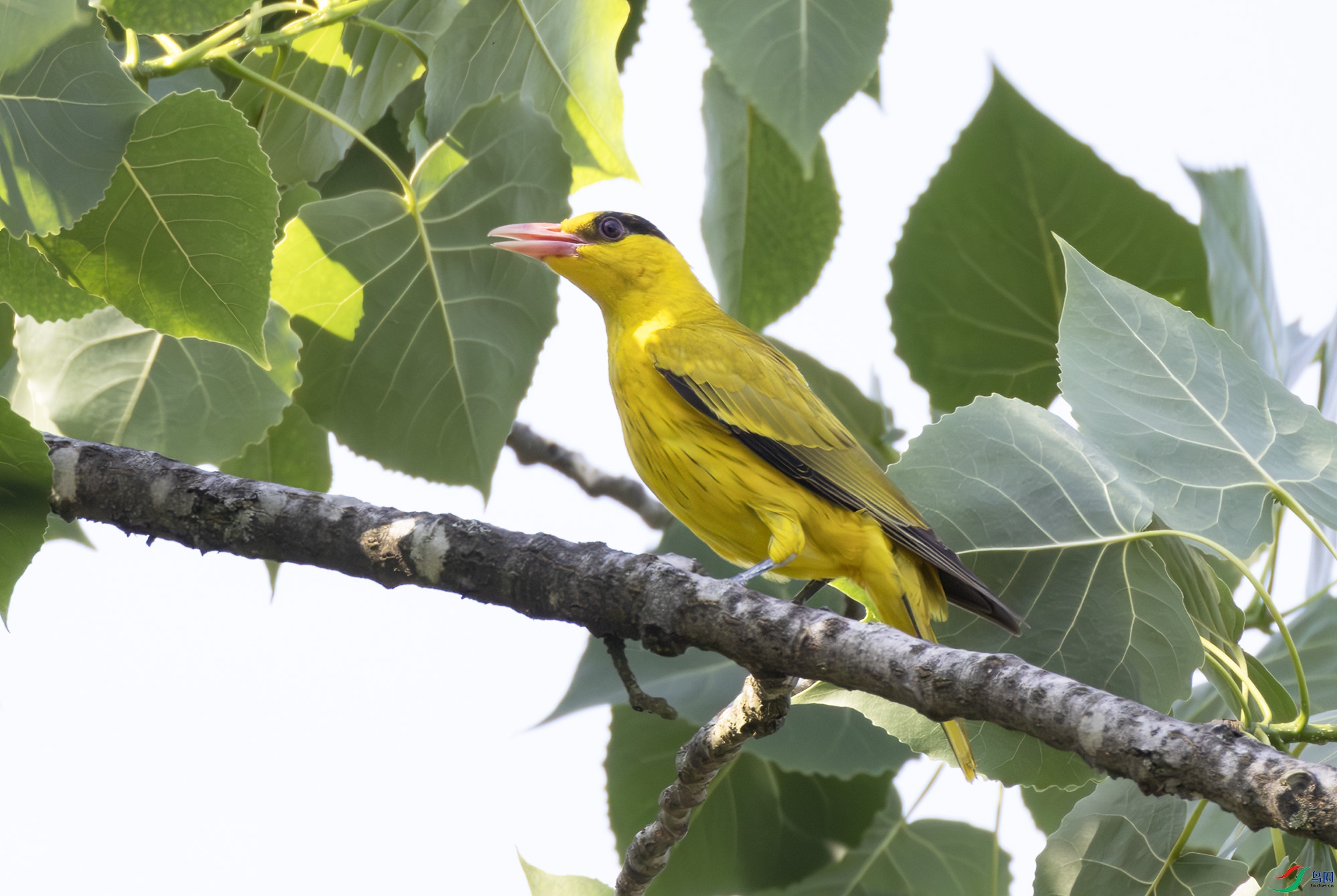 2I1A8189-����ǿ-NR ����.jpg