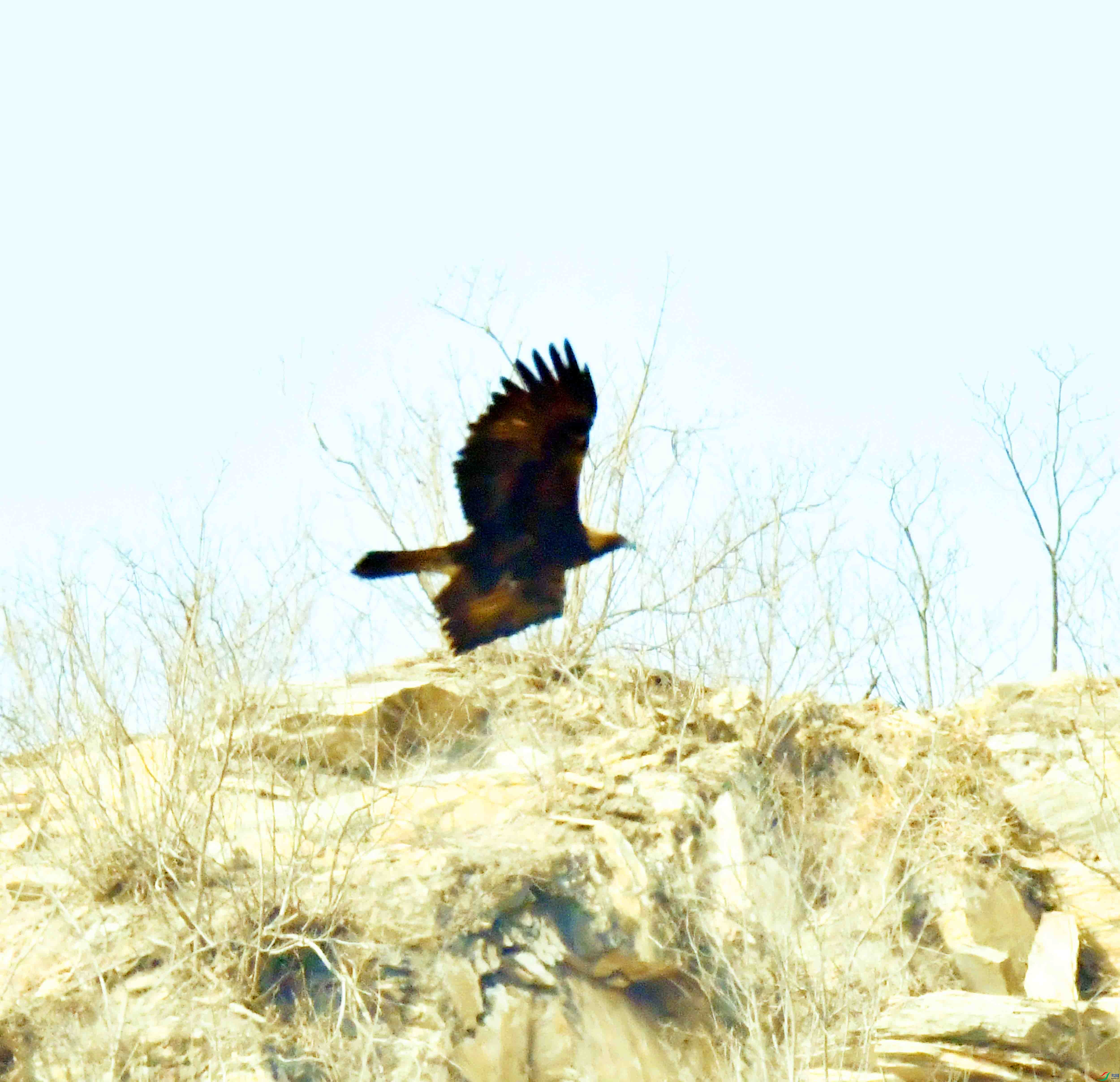 DSC_8563.JPG
