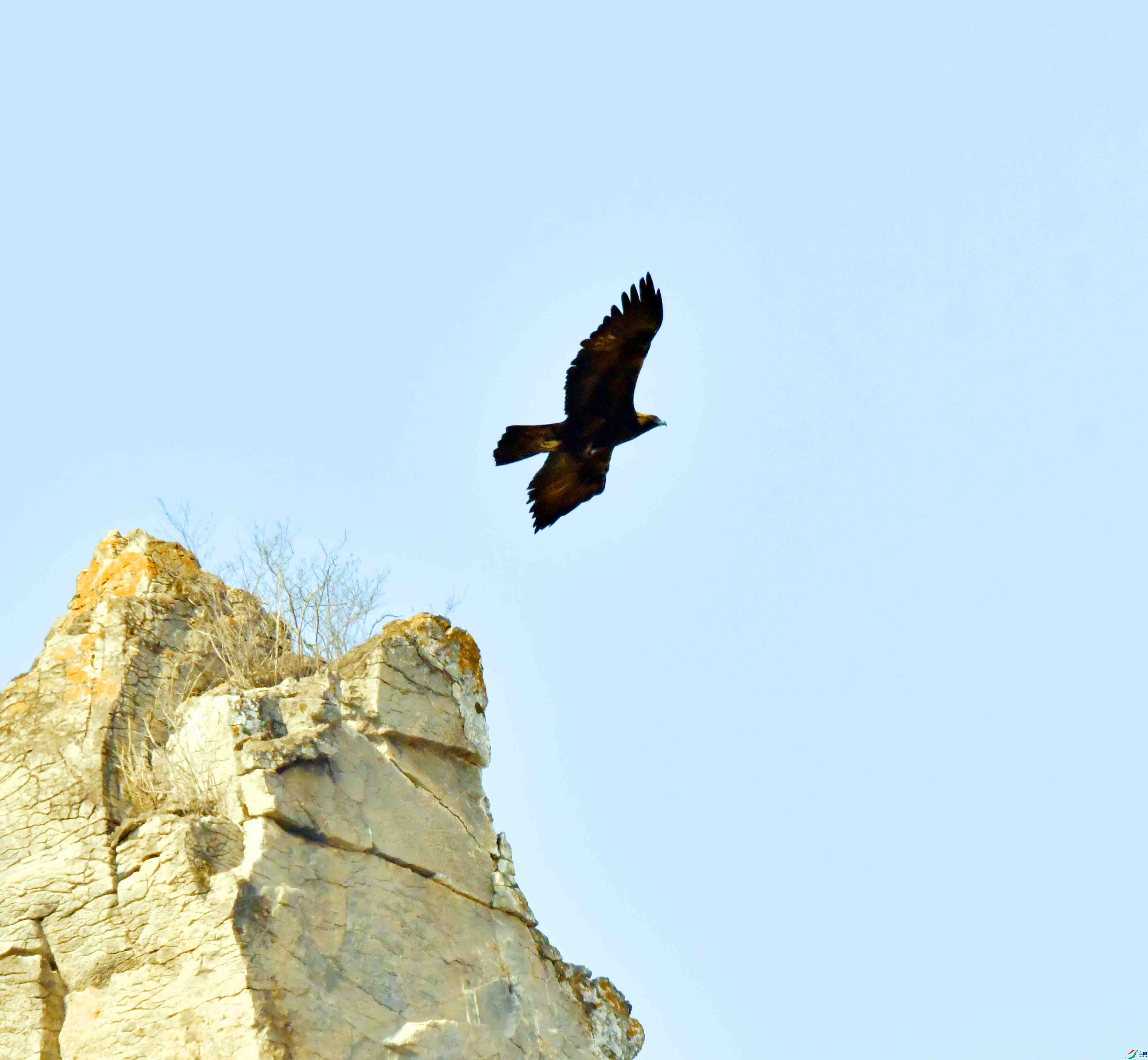 DSC_8573.JPG