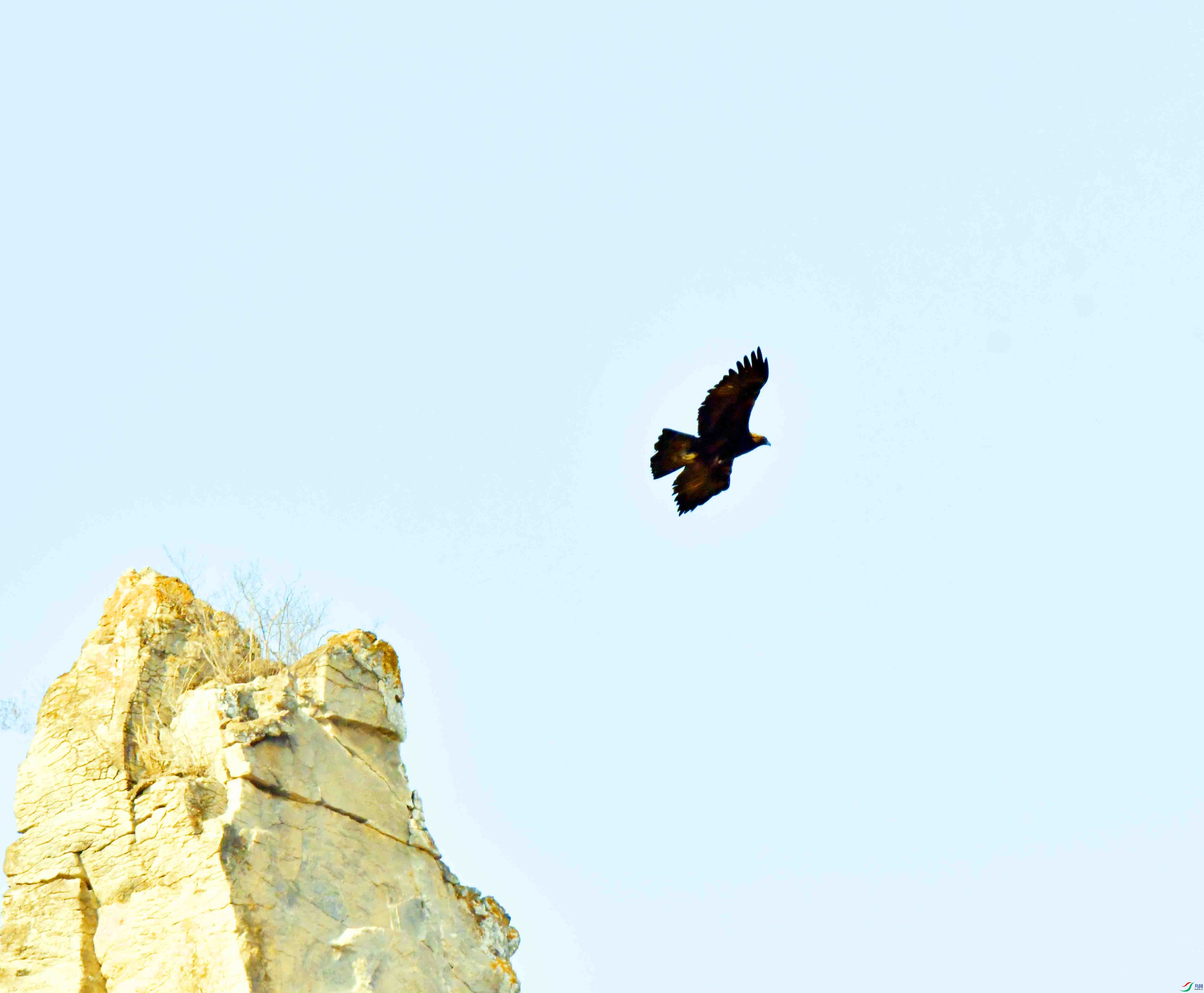 DSC_8575.JPG