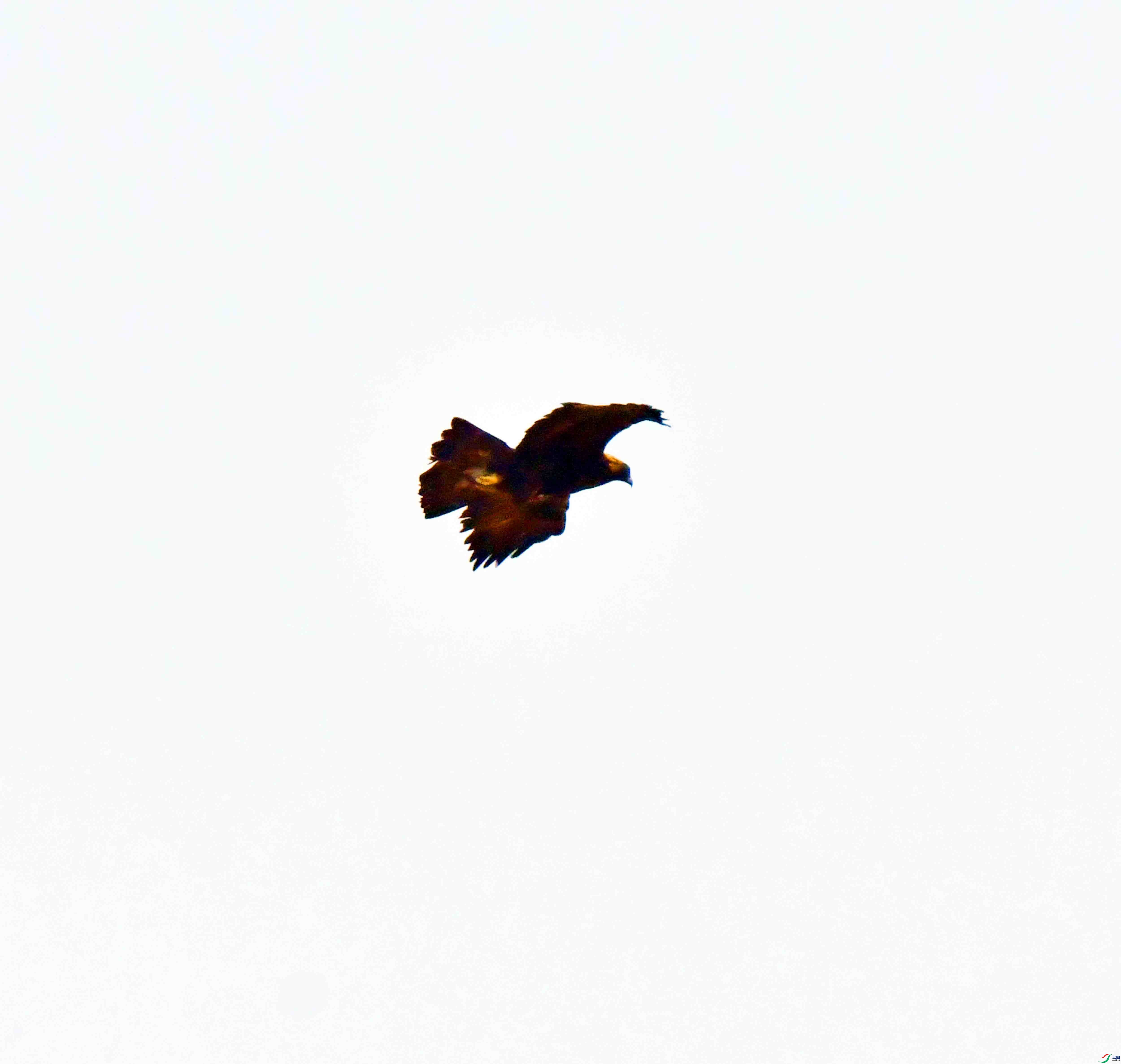 DSC_8576.JPG