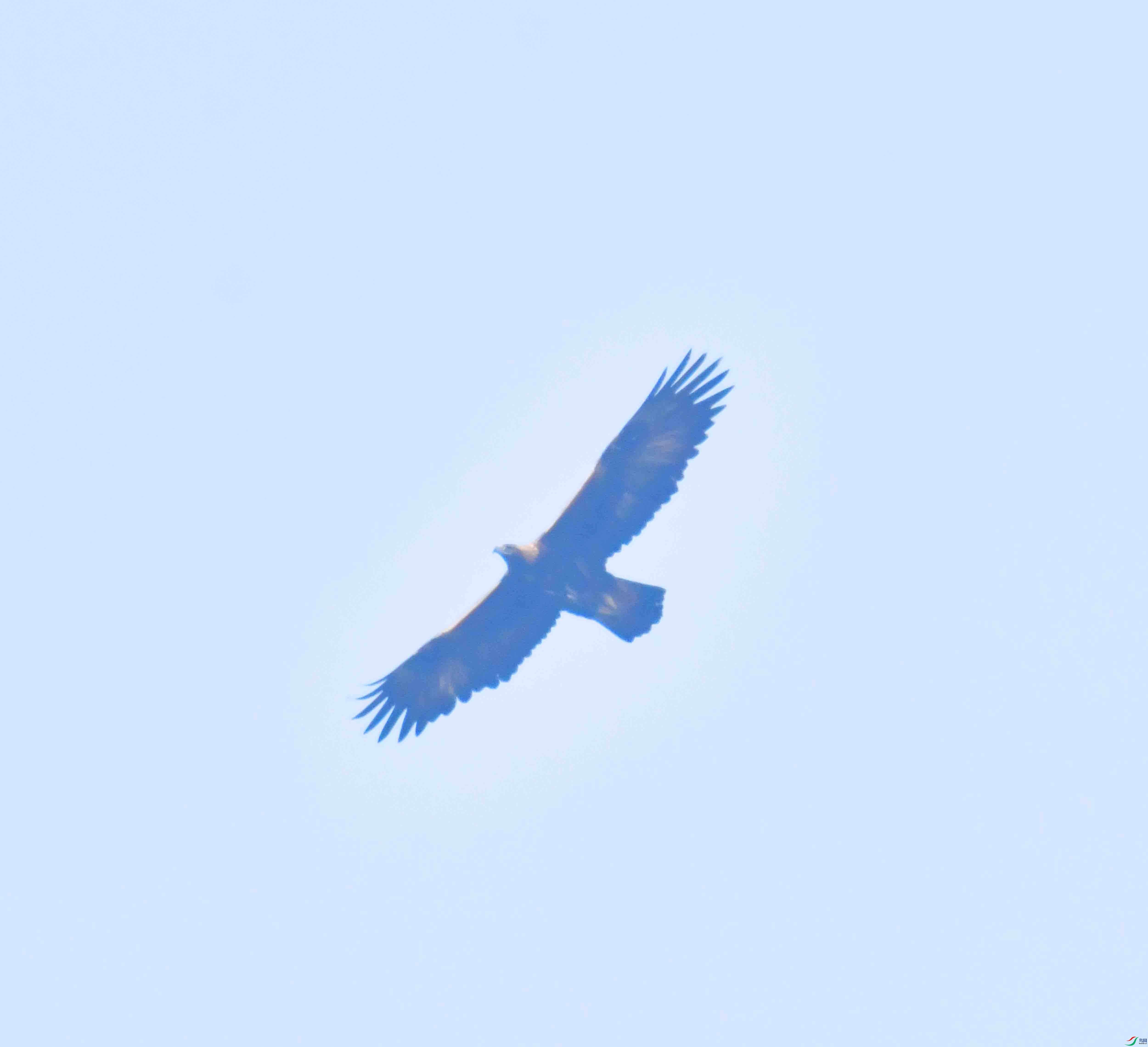 DSC_8592.JPG