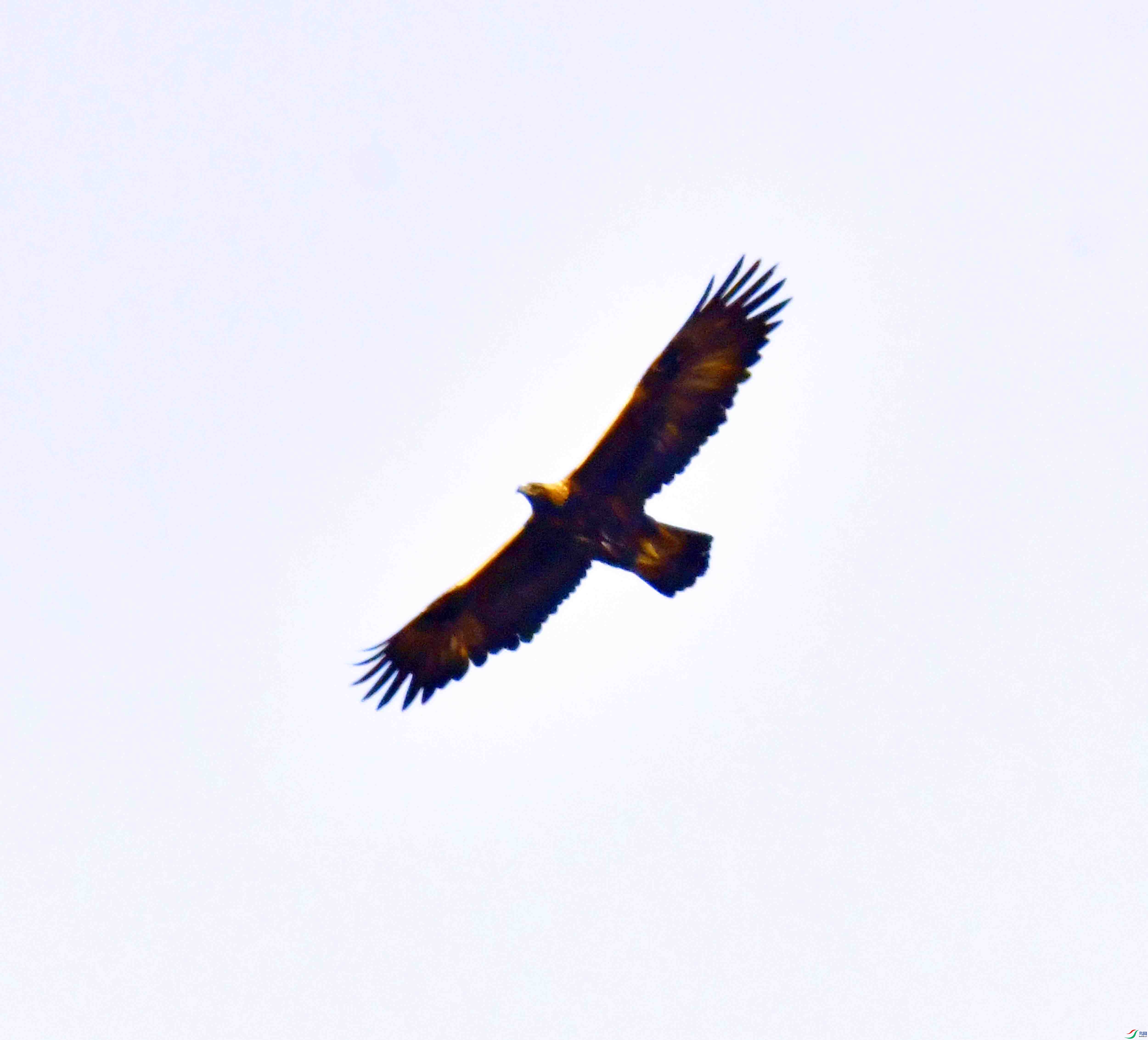 DSC_8591.JPG