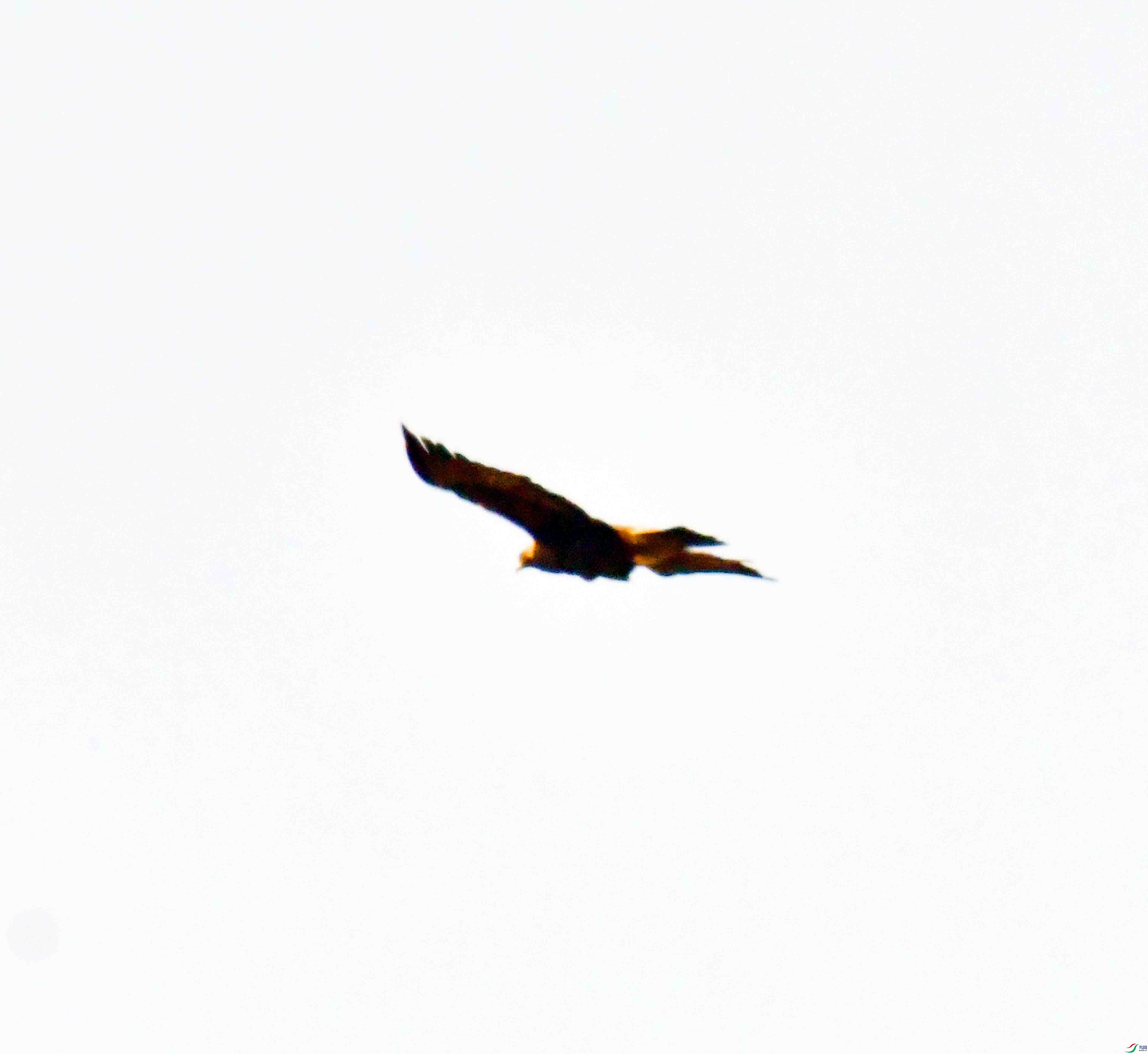 DSC_8633.JPG