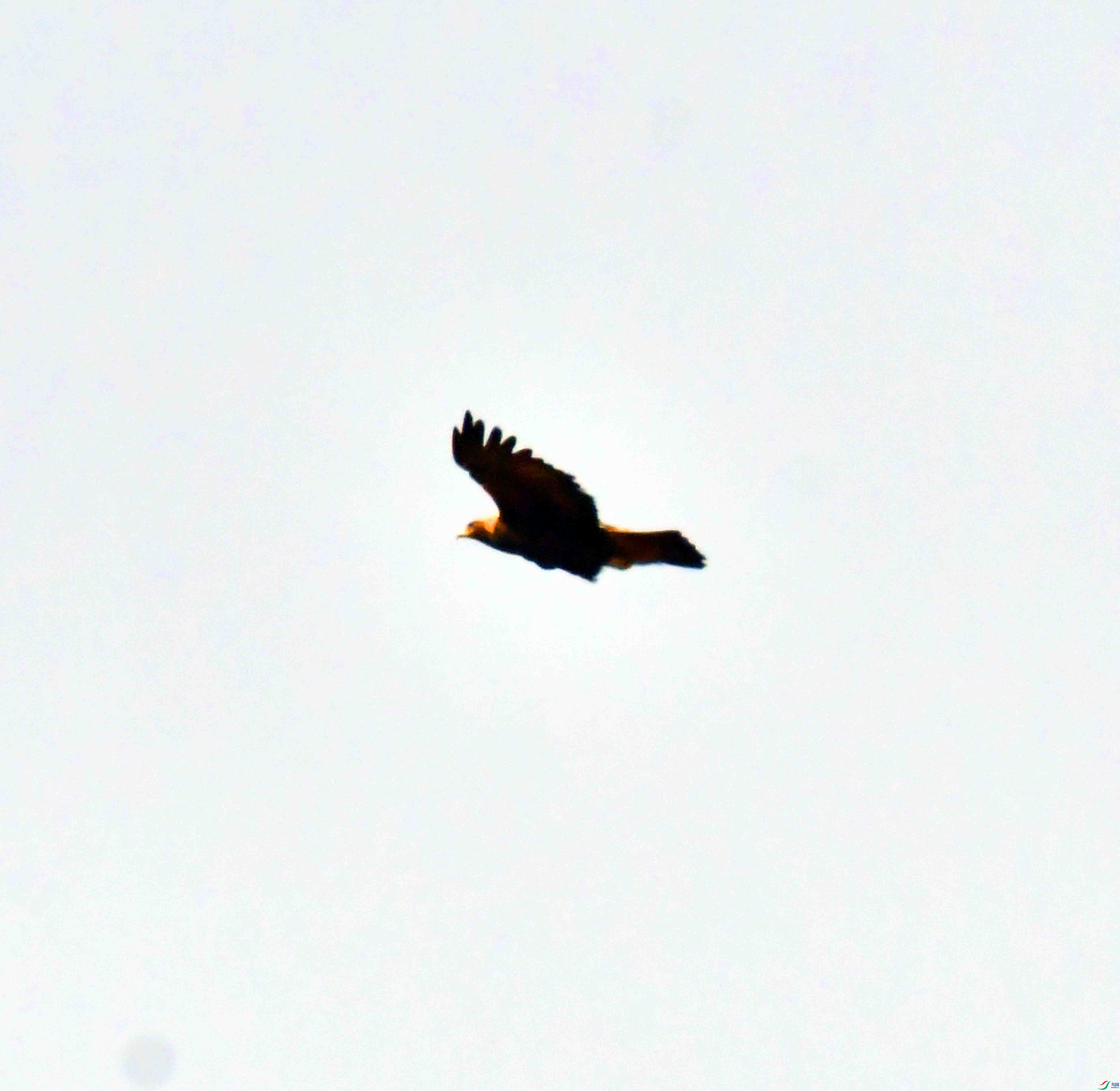 DSC_8635.JPG