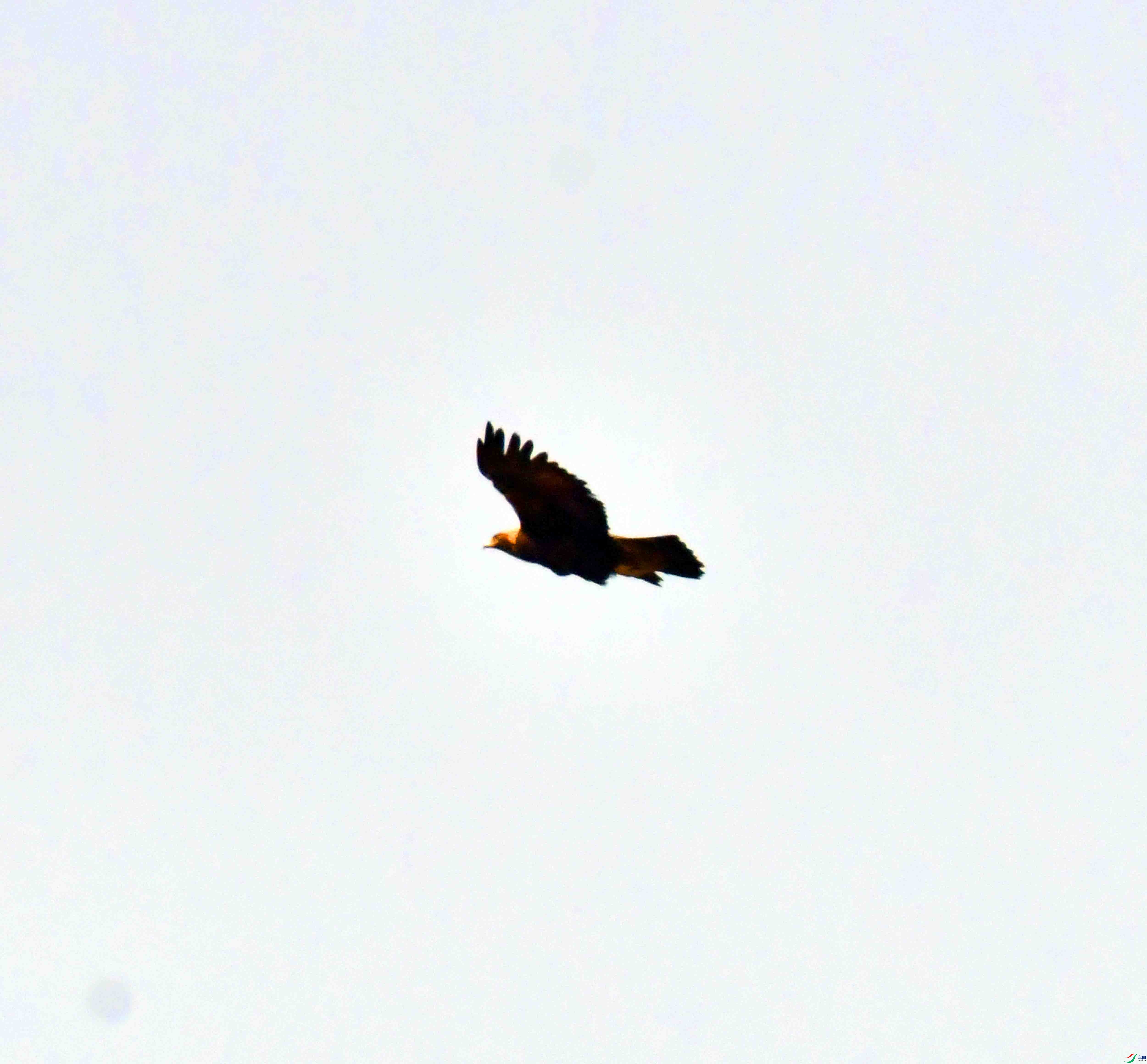 DSC_8634.JPG