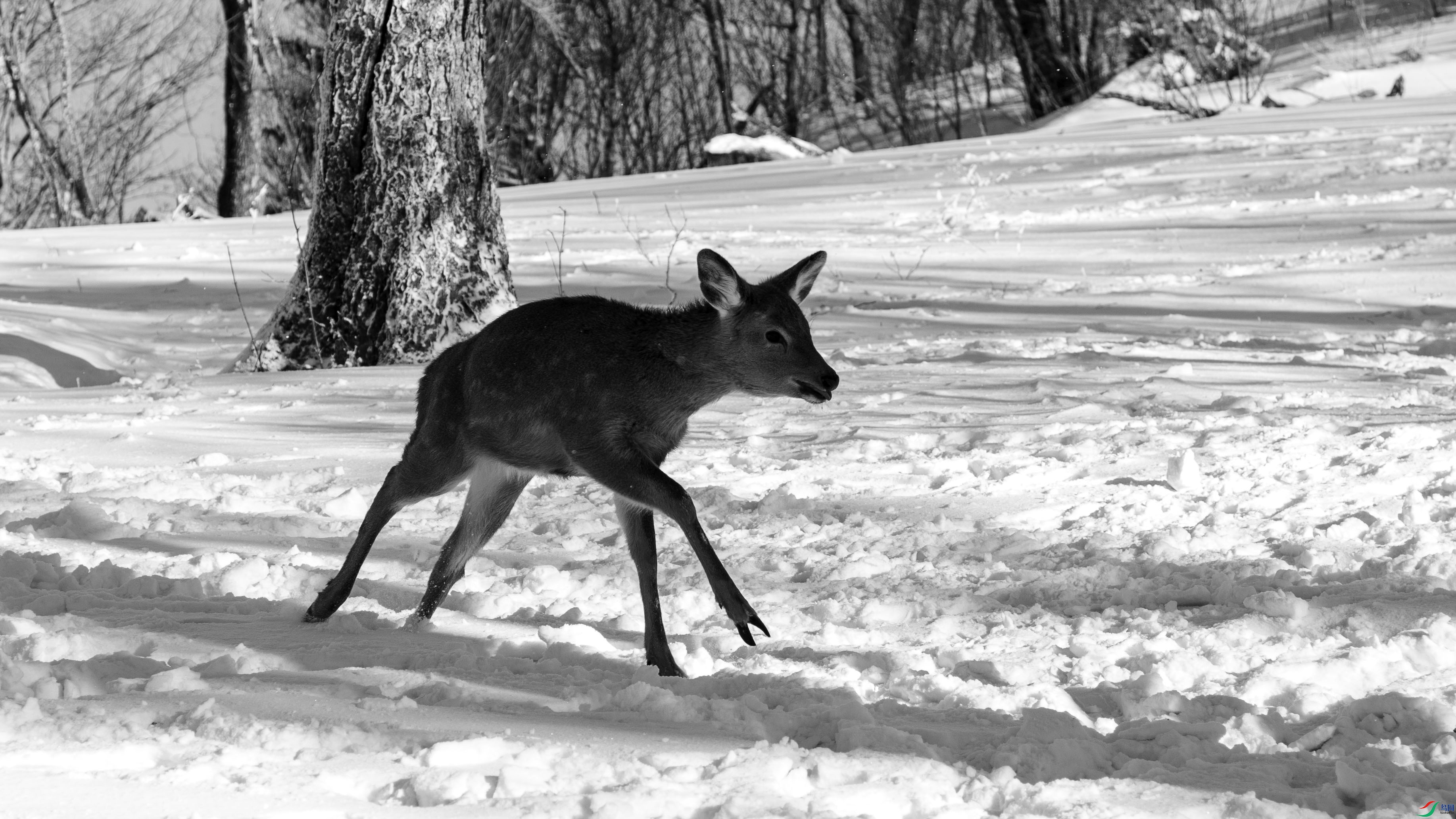 DSC_5174 ����.jpg