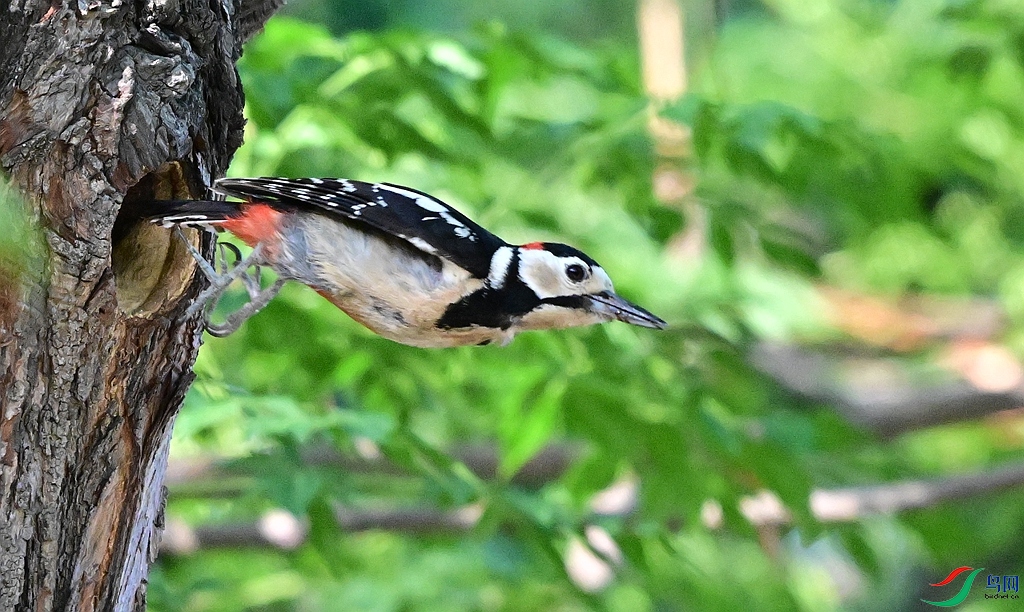 DSC_8368.JPG