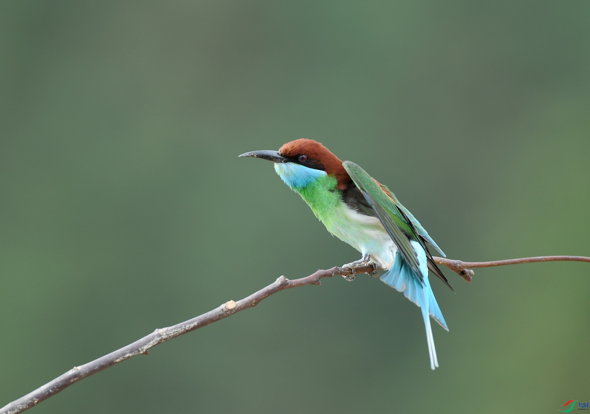 DSC_0478.jpg
