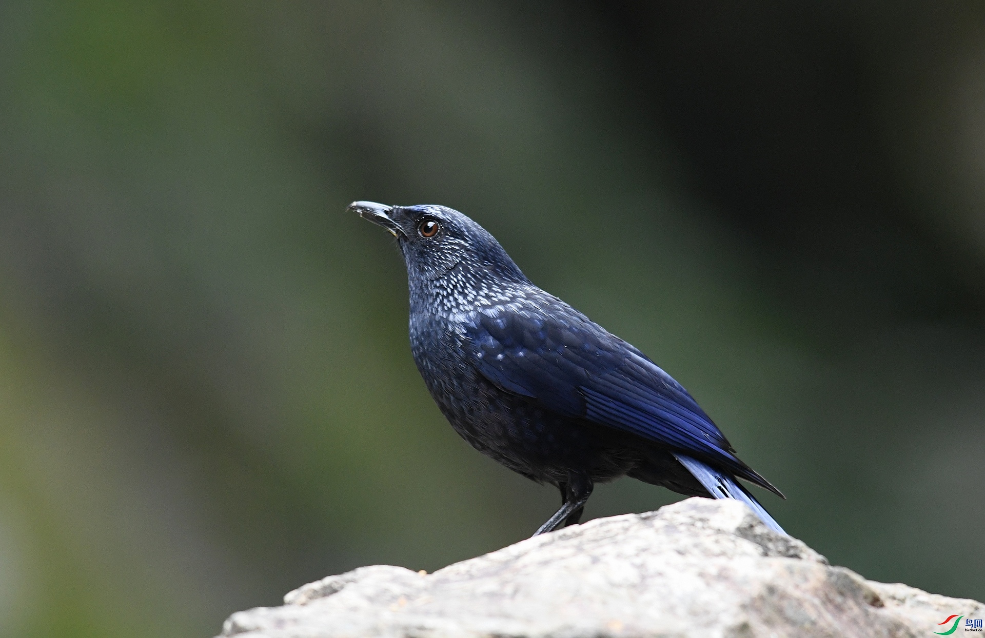 DSC_9830.jpg