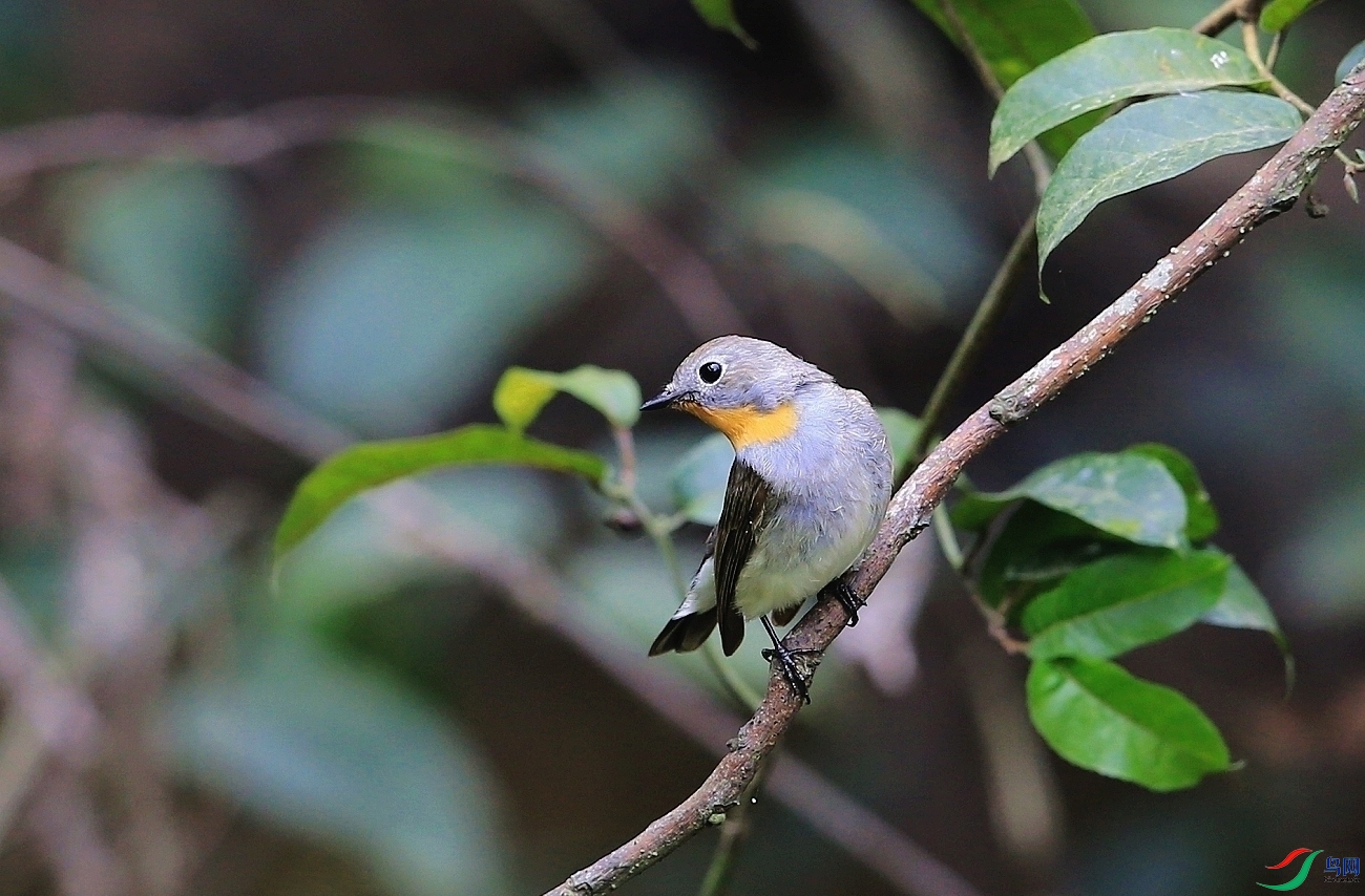 ���� IMGL8769.JPG