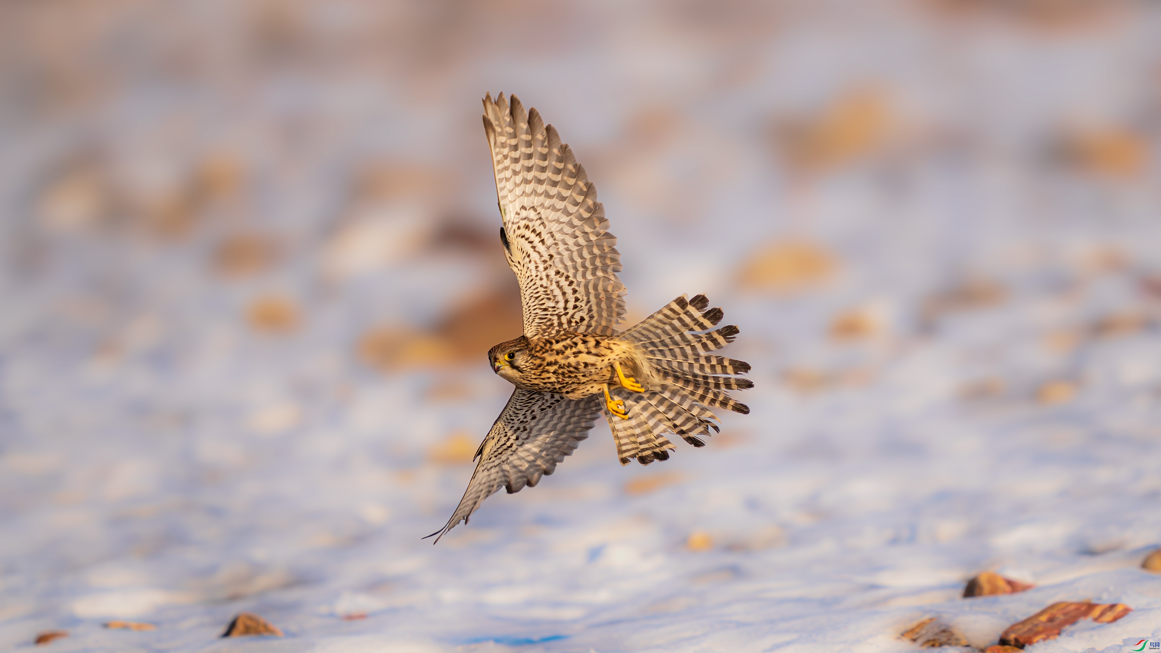 a_DSC3498_����.jpg