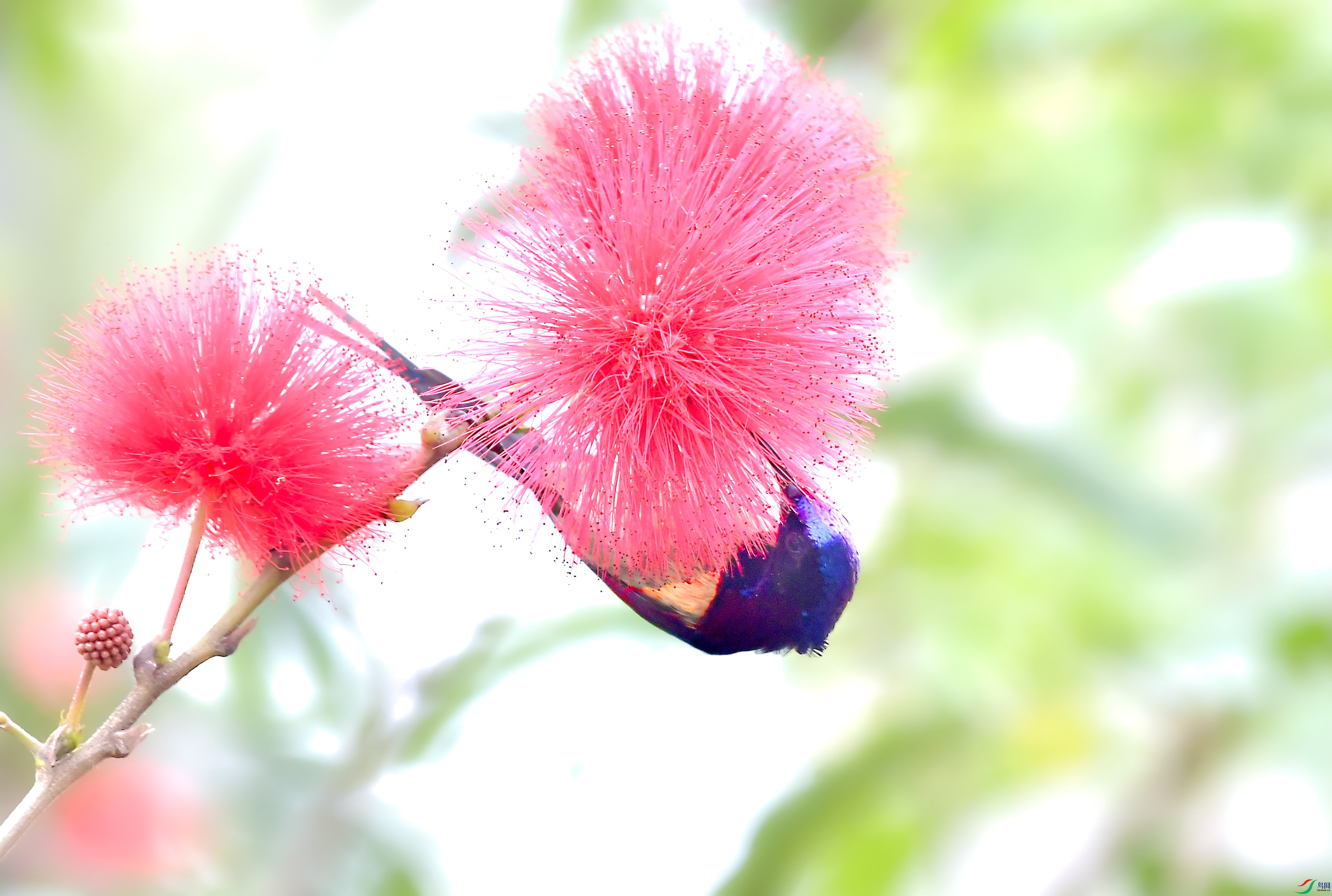 DSC_9998.JPG