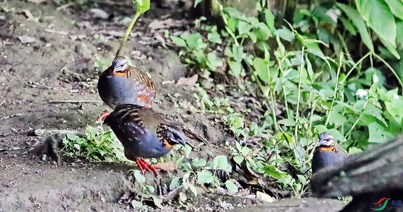 BK2A8347.JPG