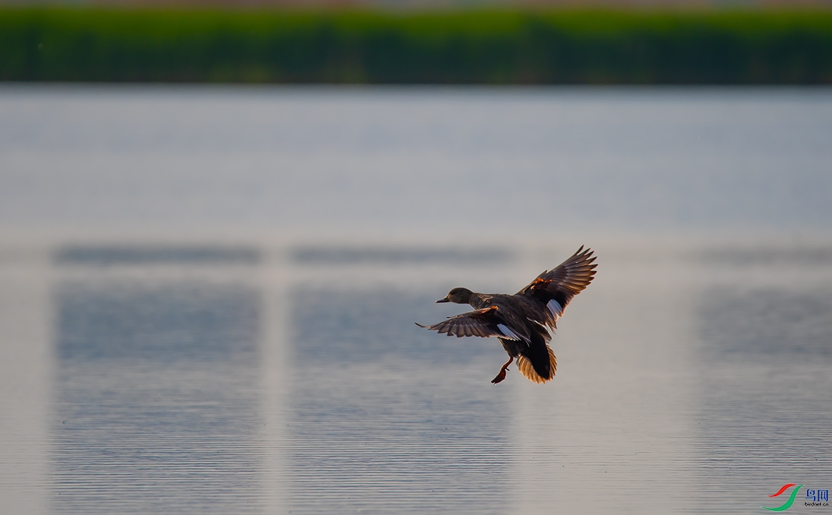 20200523 (213).jpg