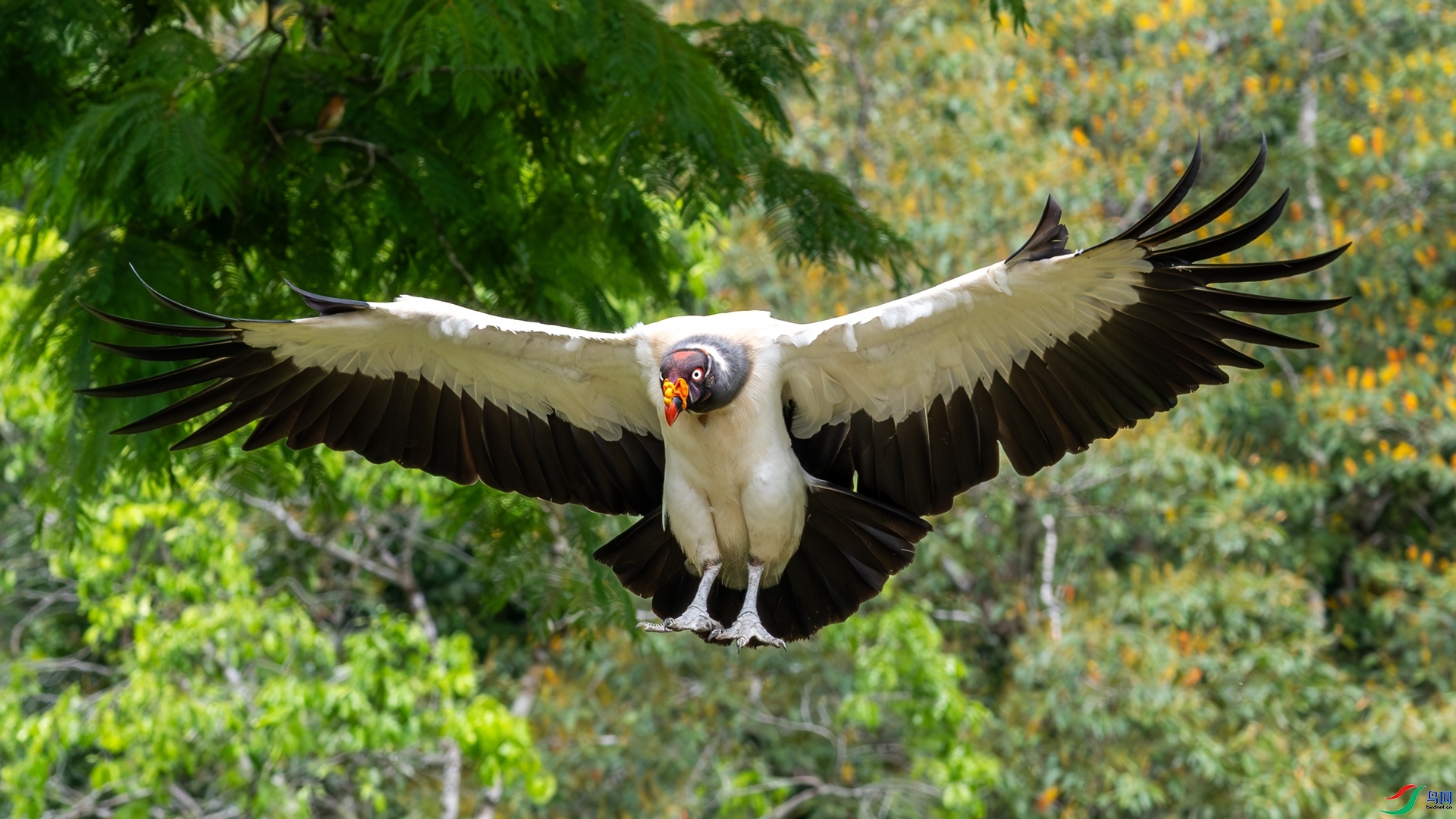 ����  ���� ��������  �ܶ�.jpg