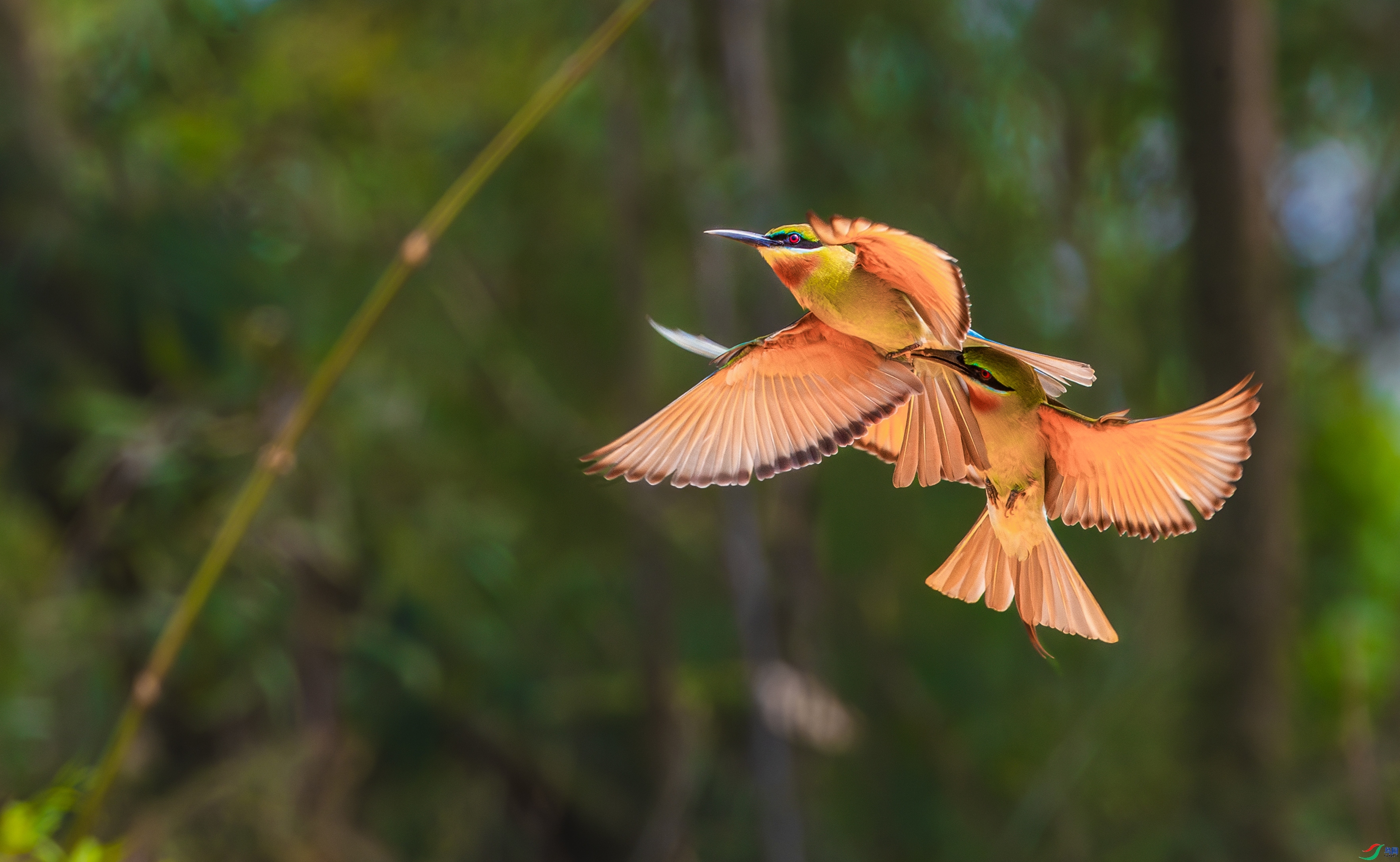 �������� ���� ����  �ܶ�.jpg