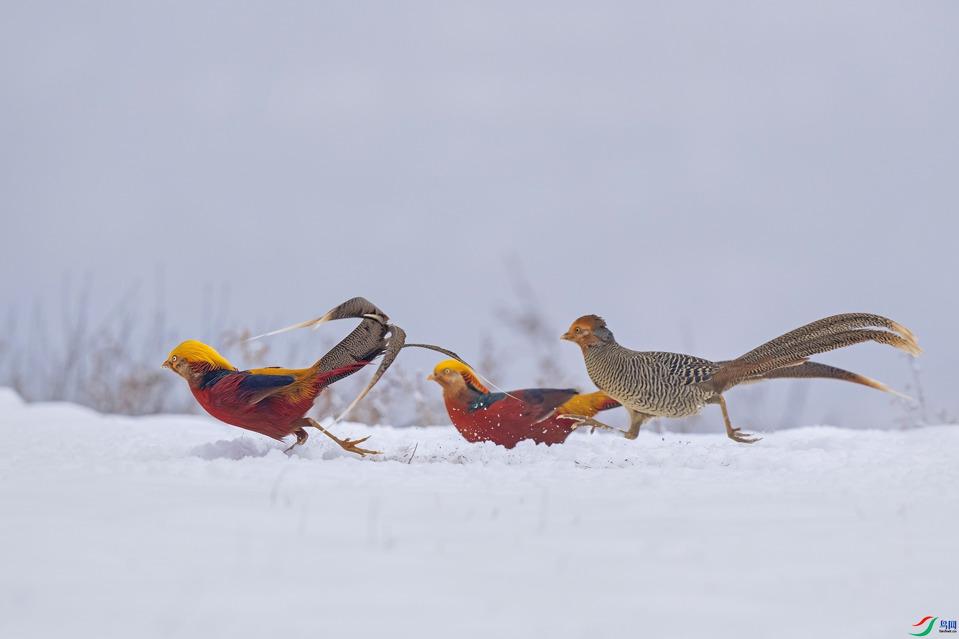 �츹���� ���� �ϫ �ܶ�.jpg