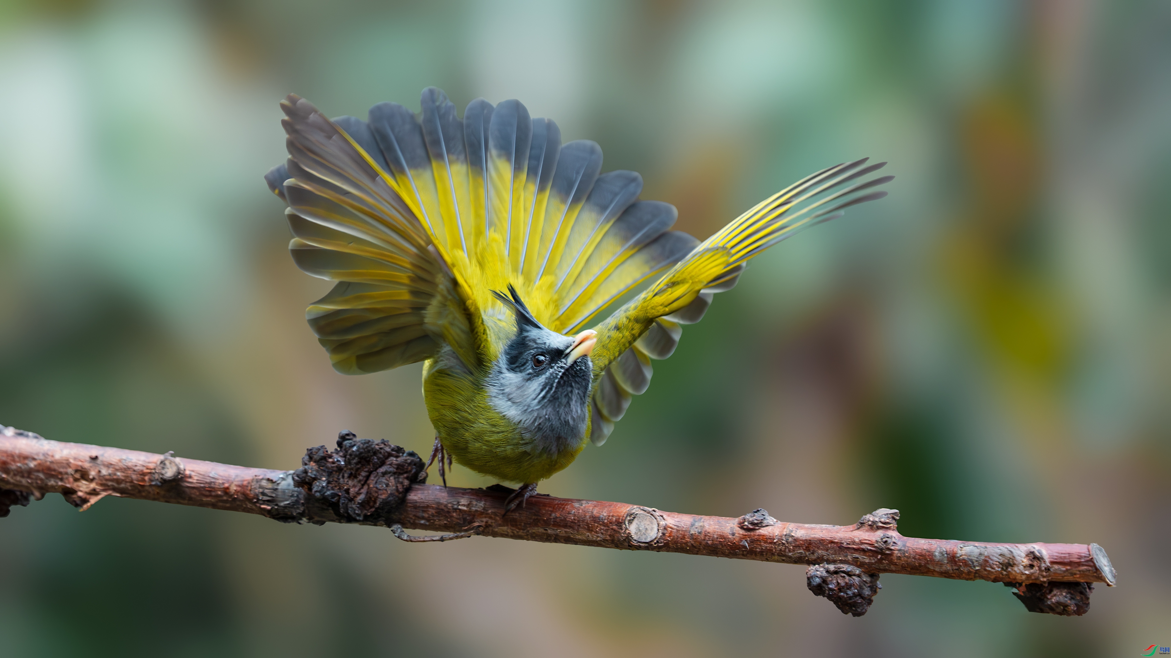 ����  ���� С�׺� ����.jpg