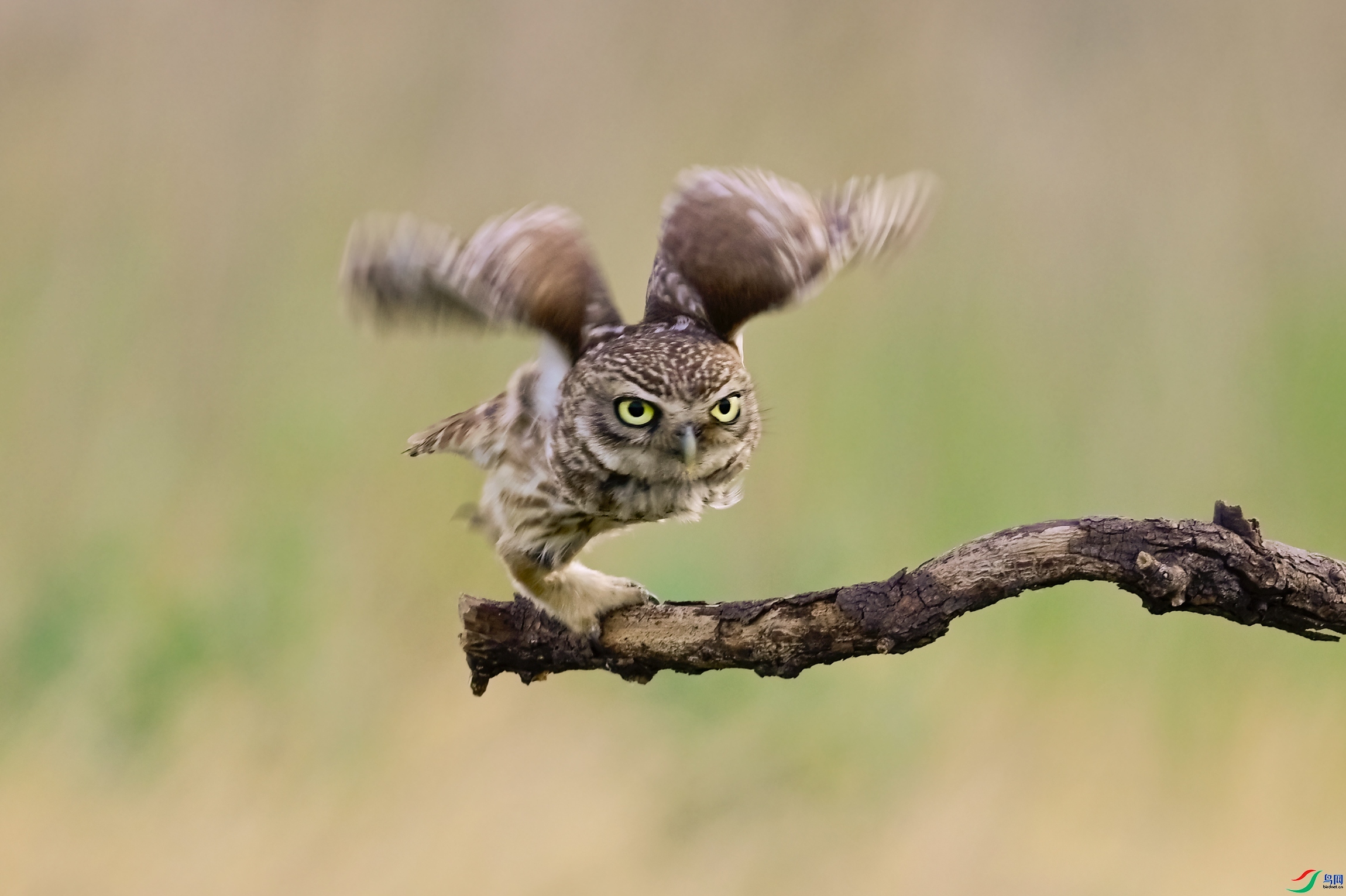 ���  ���� �չ�����-����  ����.jpg