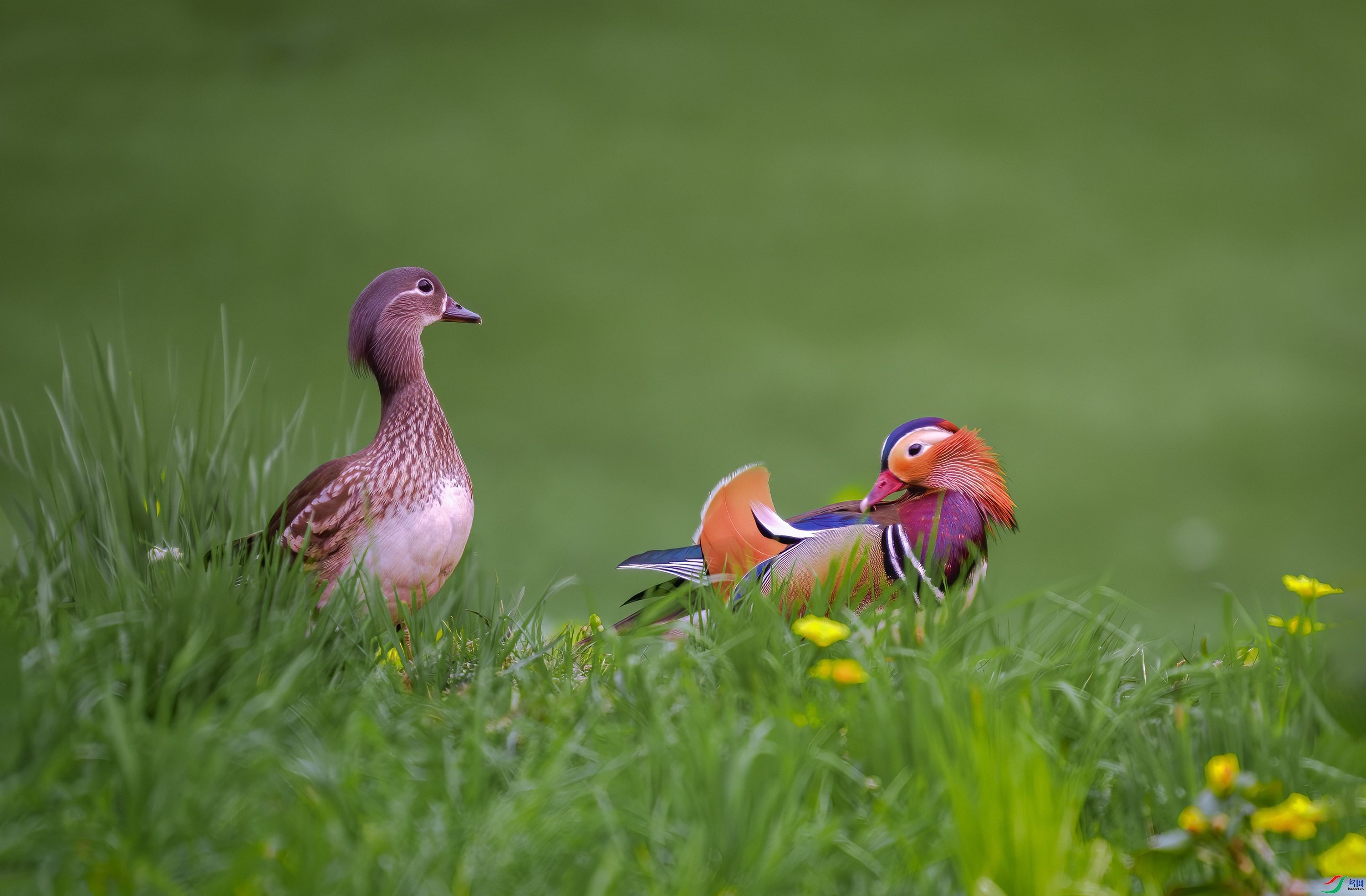 ������  ���� 춼ͷ� ����.jpg