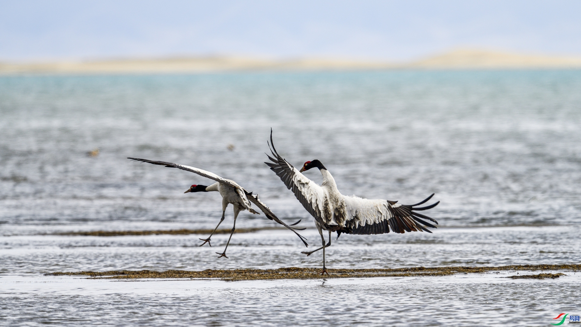 ���� ���� �ƺ�Ѱ��  ����.jpg