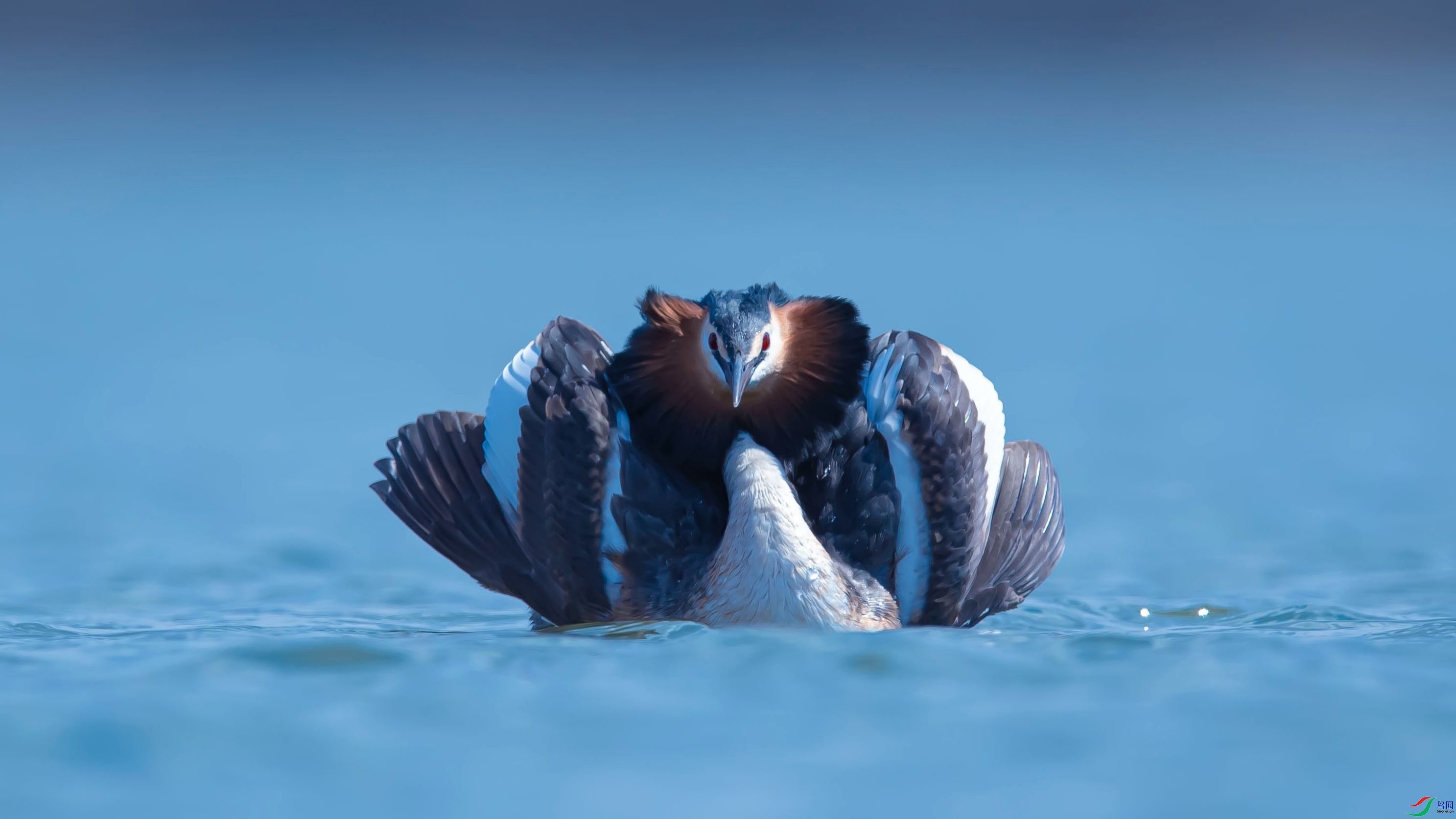 ����  ���� �����ү ����.jpg