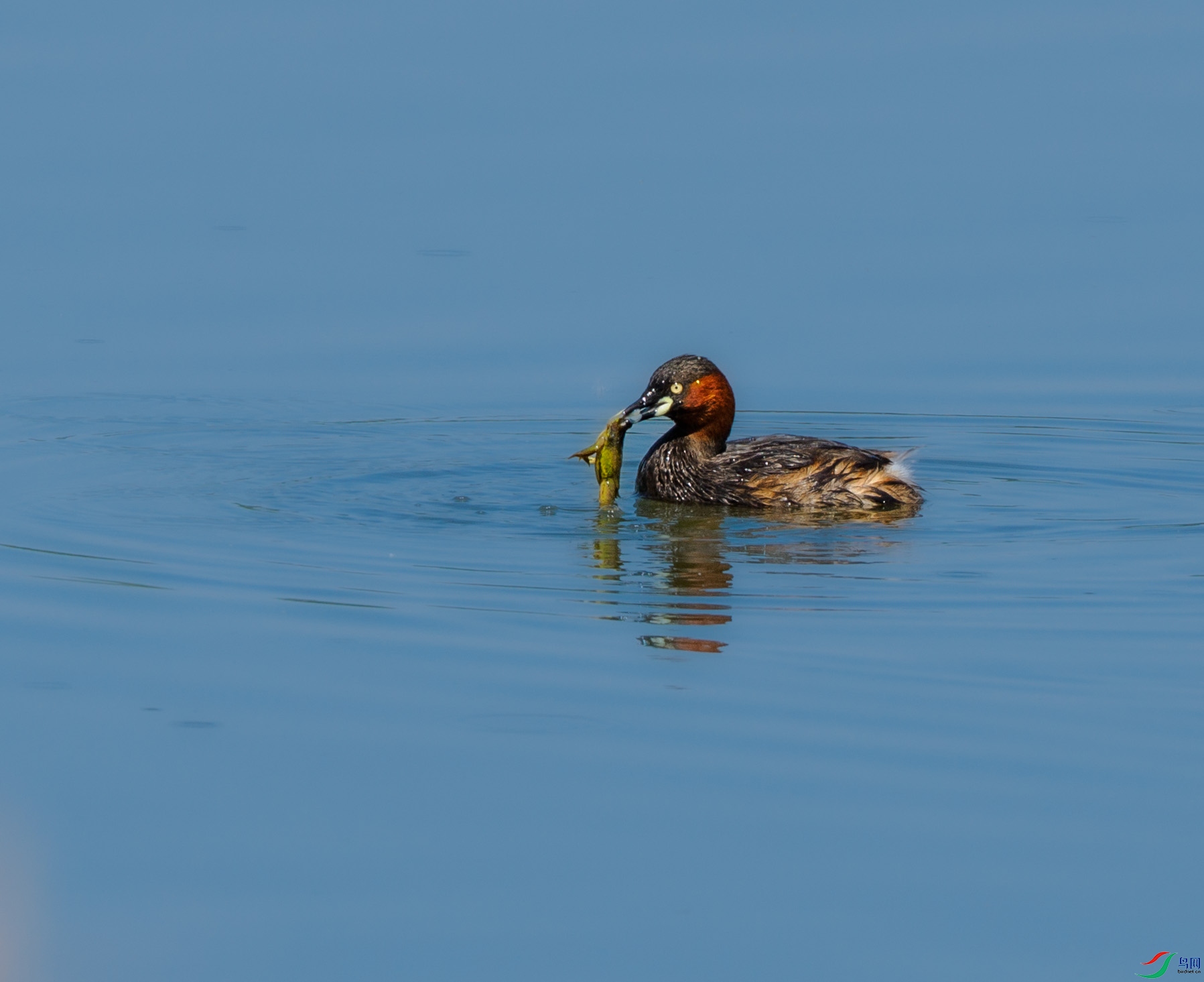 P5061038 ����.jpg