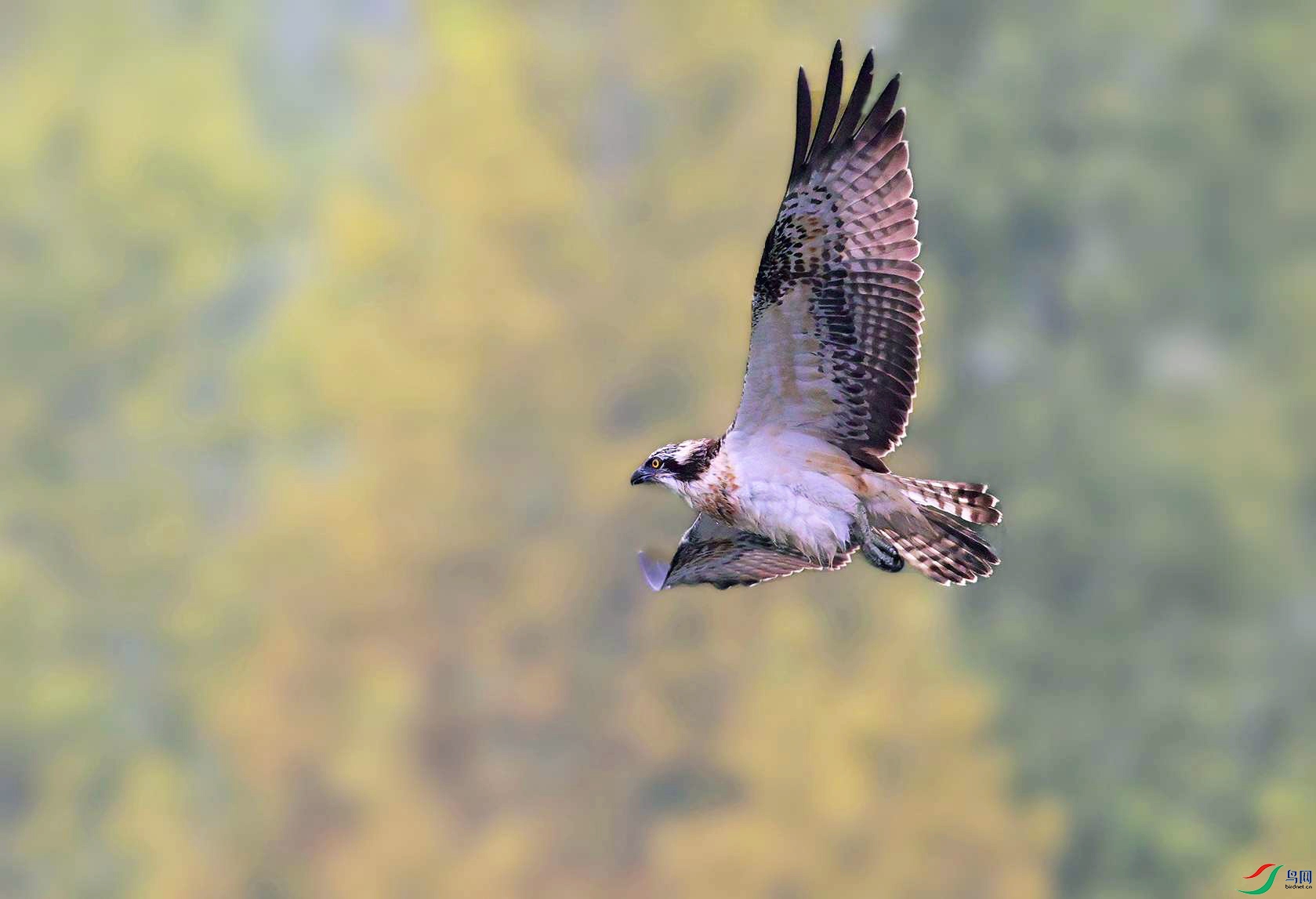 DSC_0035_.jpg