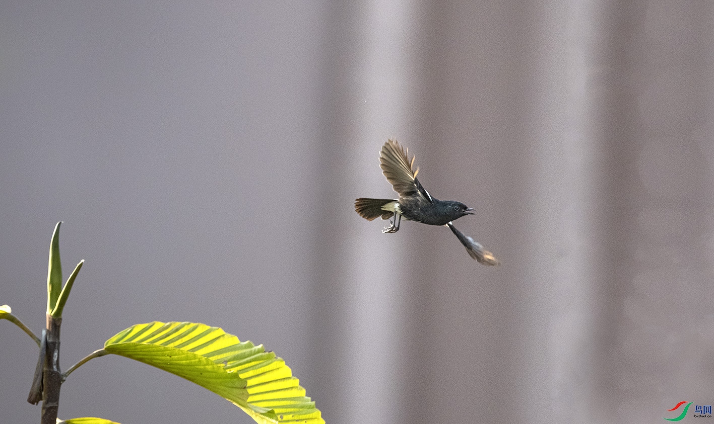 DSC_5979 ����.jpg