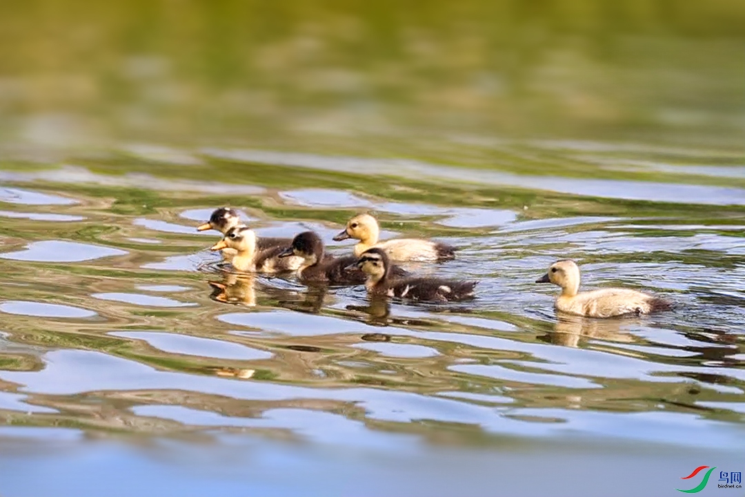 488A3543 ���� 2.jpg