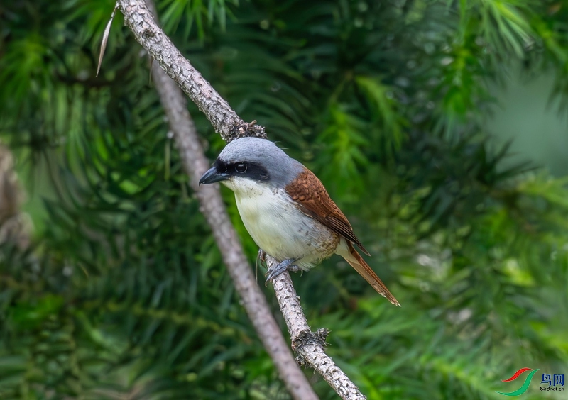 DSC_7874_����.jpg