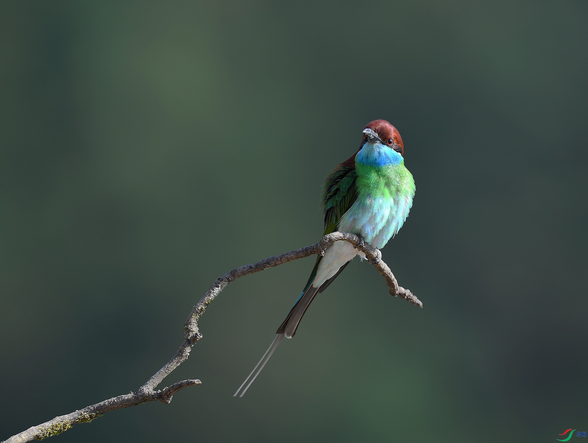 DSC_3906.jpg