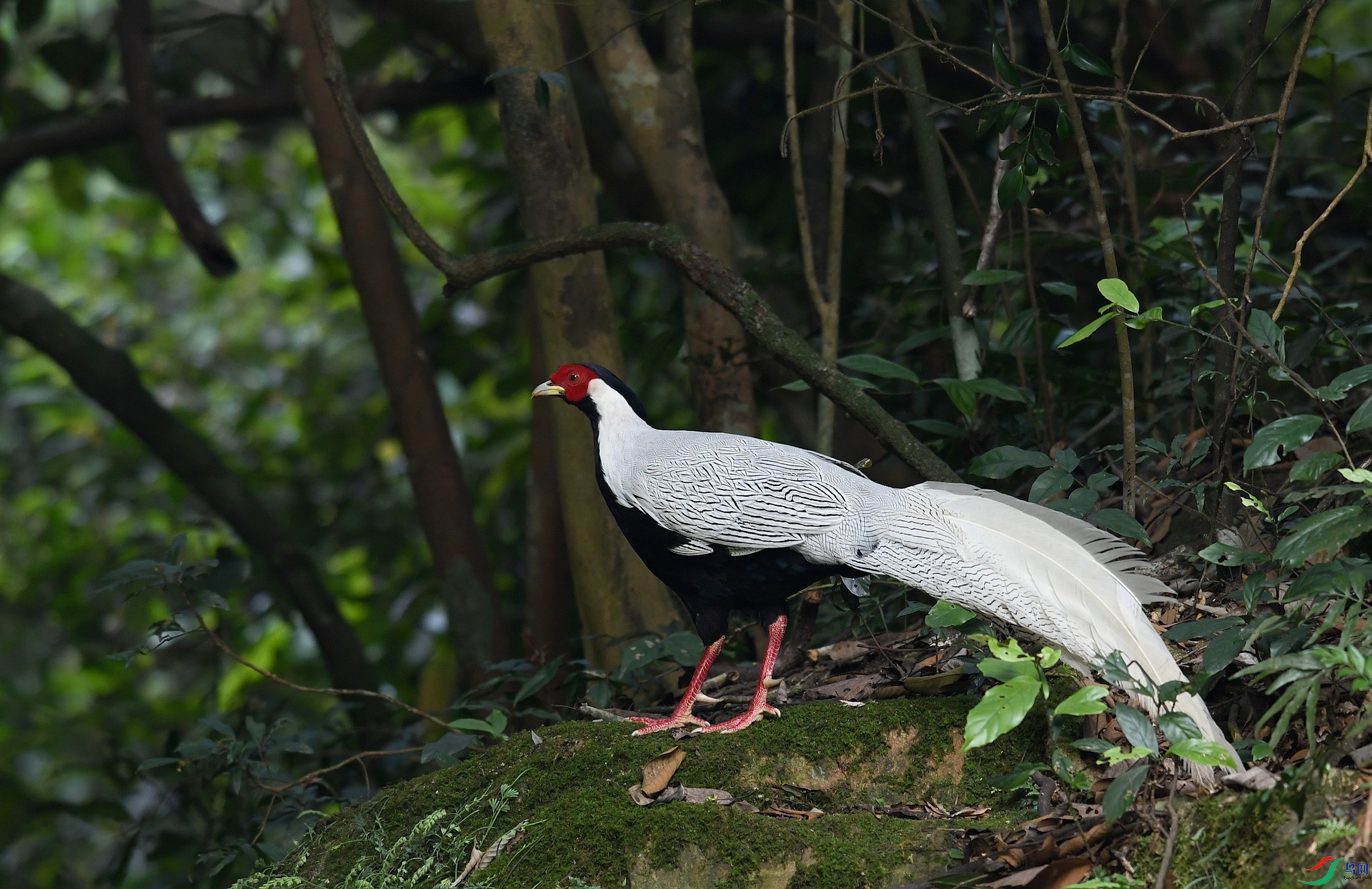 DSC_8748.jpg