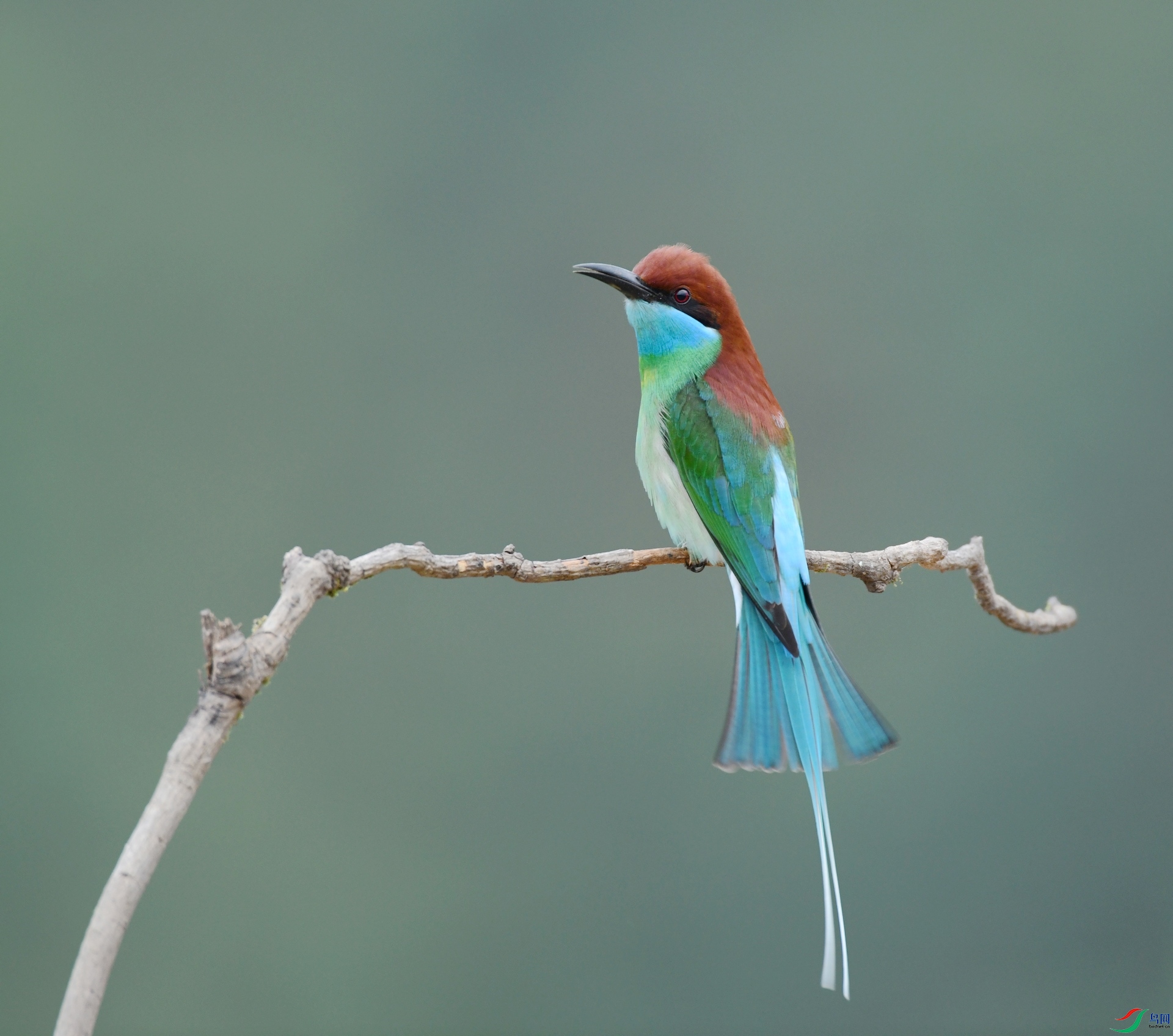 DSC_7294.jpg