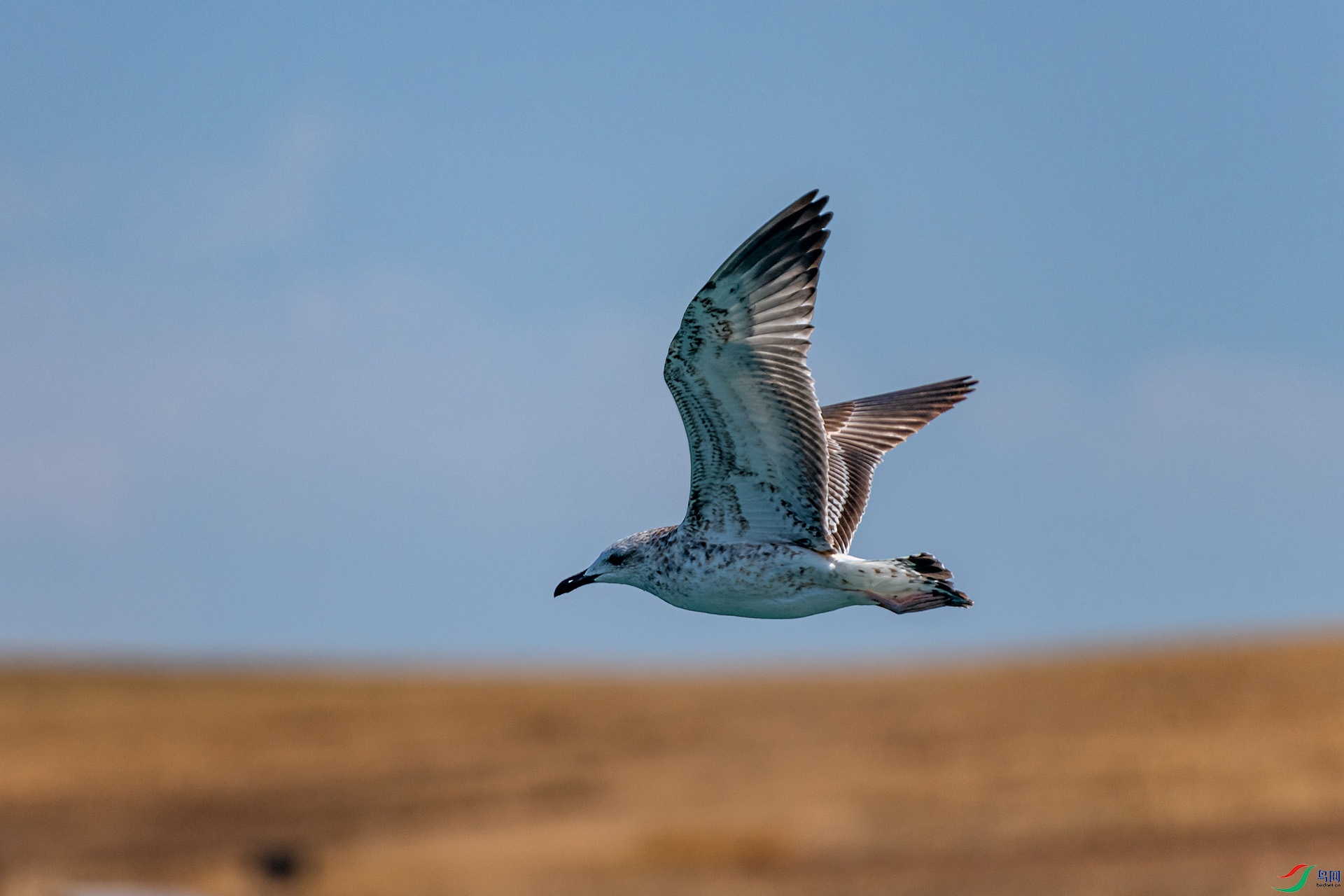 _AUU0719��Ÿ(24.9.21).jpg
