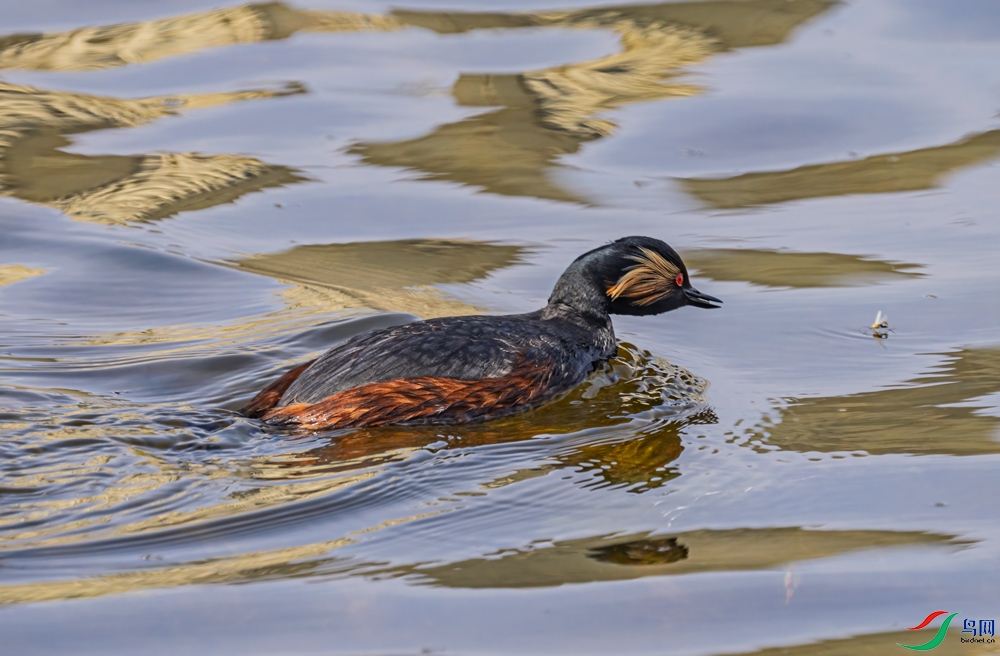 _DSC3635.jpg