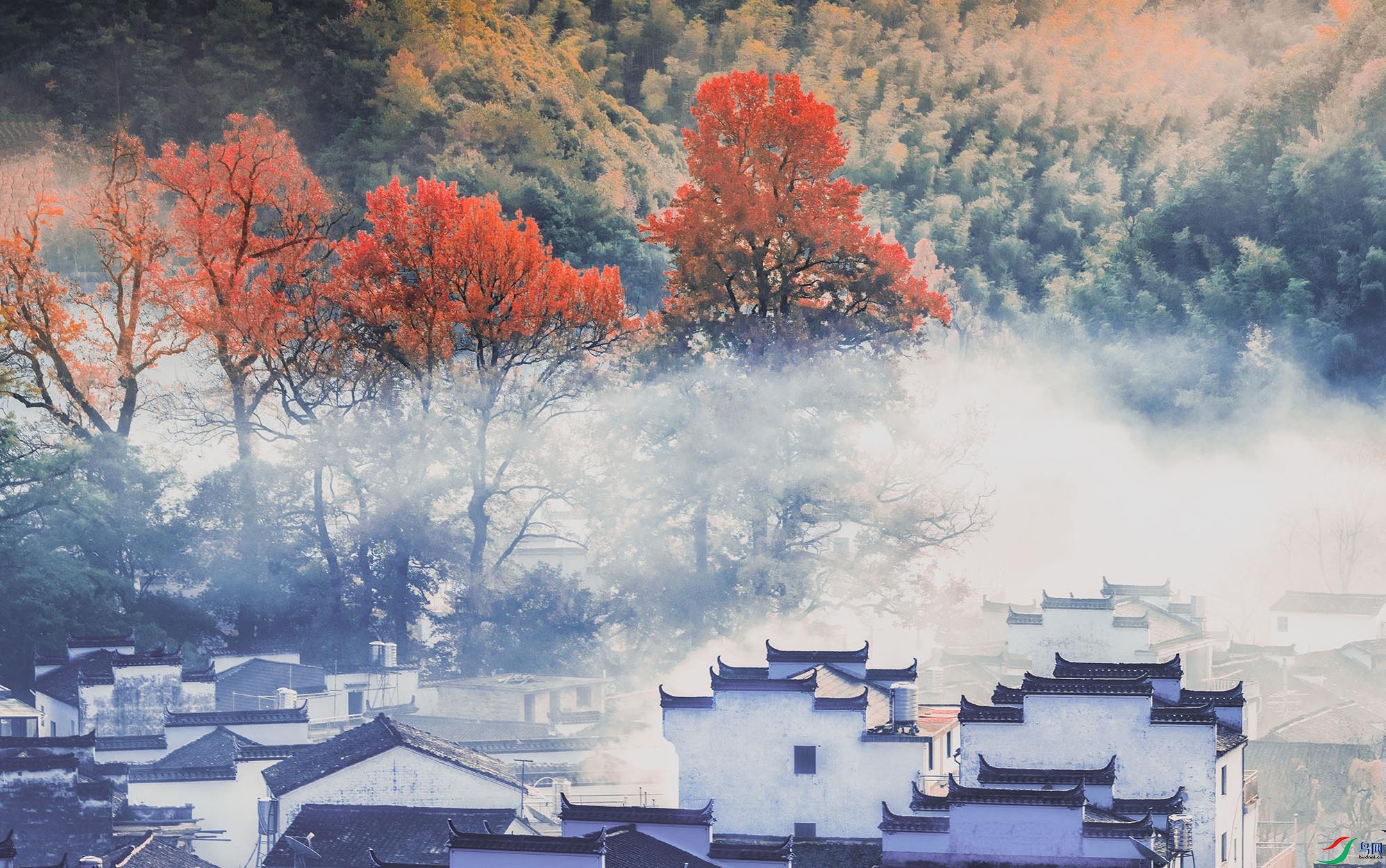 ʯ������