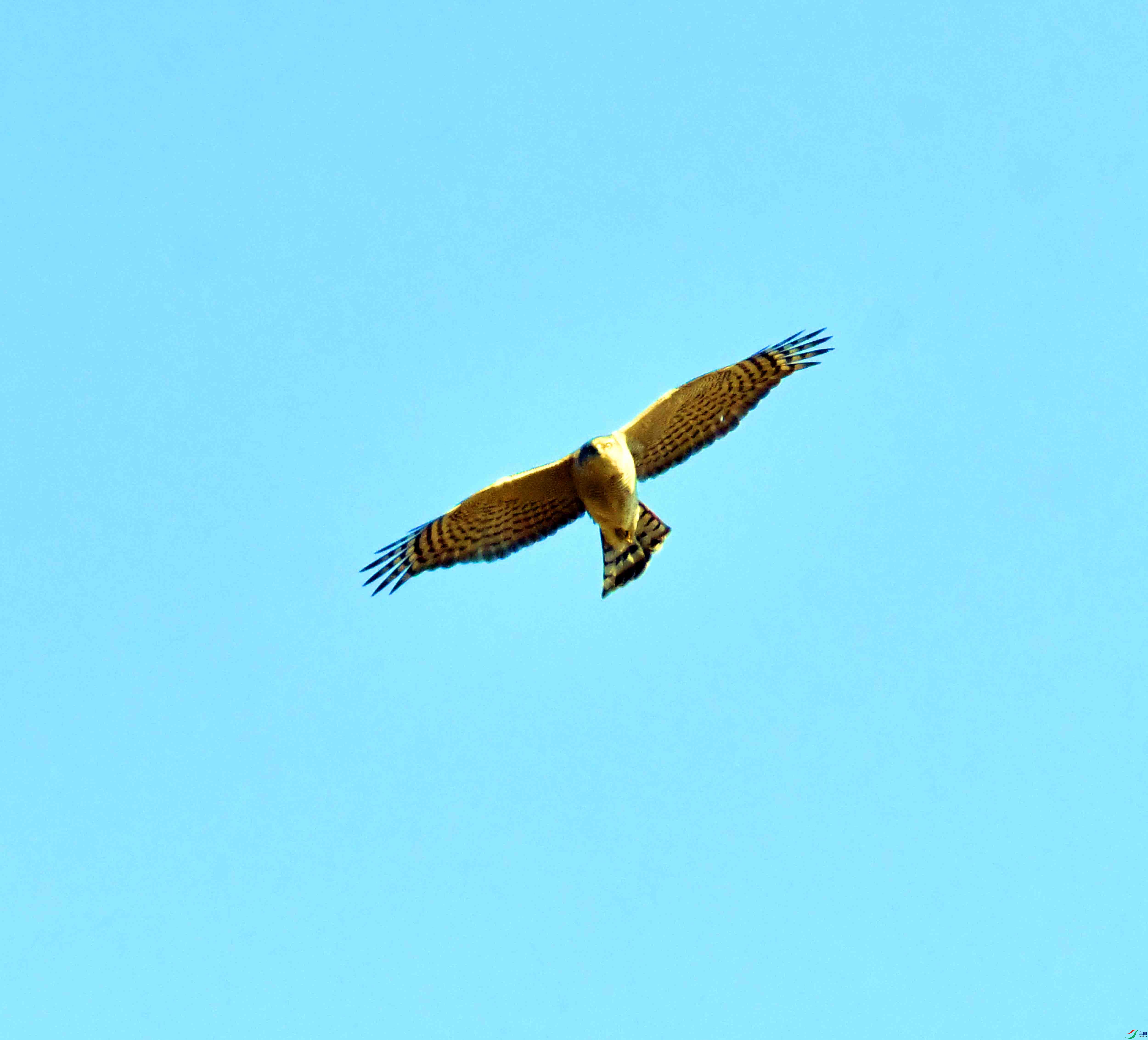 DSC_1059.JPG